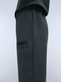 Штаны спортивные Napapijri M-Premium модель NP0A4I6PG1S1 Фото