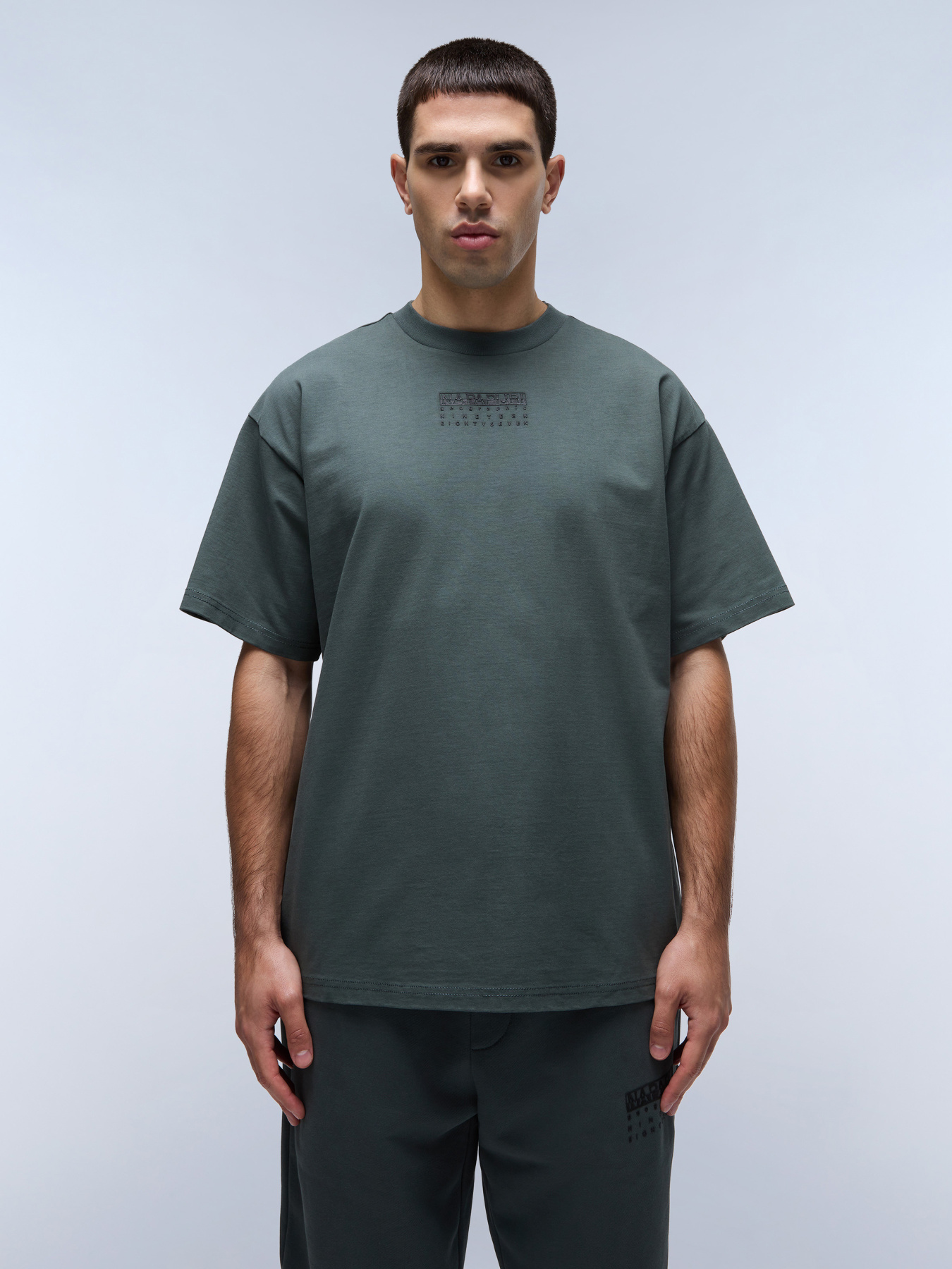 Футболка Napapijri S-Premium Ss модель NP0A4I6QG1S1 Фото