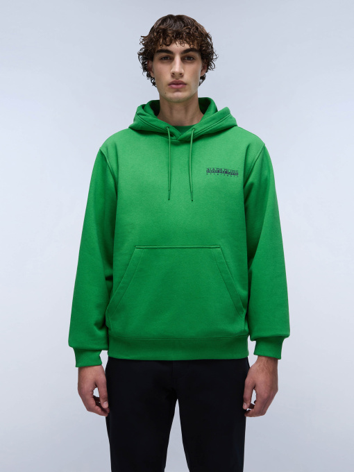 Худи Napapijri B-Linth модель NP0A4I9RG1T1 Фото