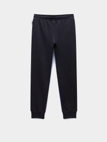 Штаны спортивные Napapijri M-Kasba Wint модель NP0A4IAA0411 Фото