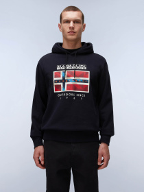 Худи Napapijri B-Dorees модель NP0A4IBD0411 Фото