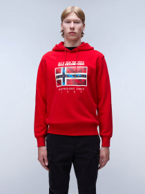 Худи Napapijri B-Dorees модель NP0A4IBDR061 Фото