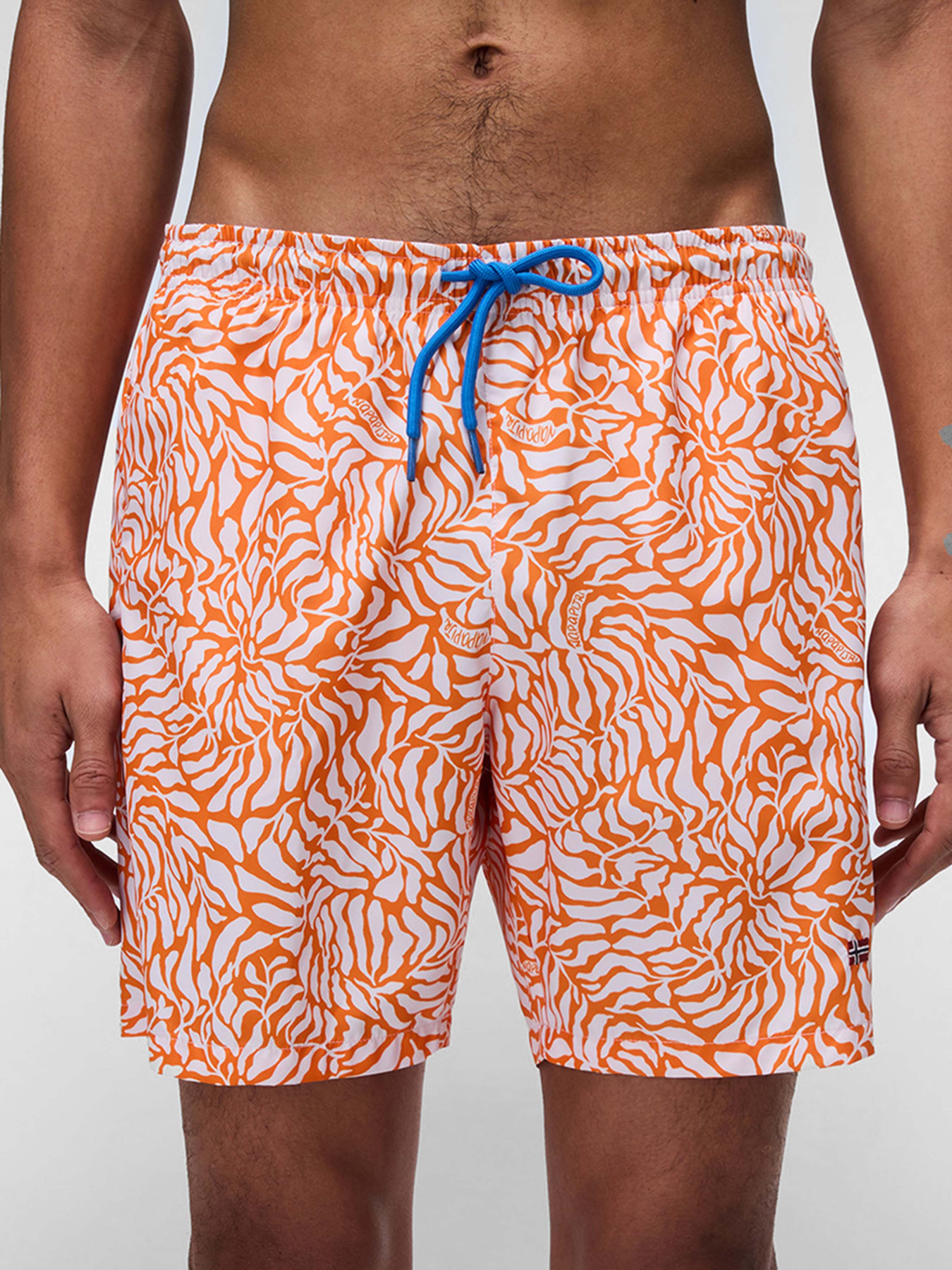 Шорты для плавания Napapijri Inuvik модель NP0A4IBLFCW1 Фото