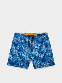 Шорты для плавания Napapijri Inuvik модель NP0A4IBLFDG1 Фото