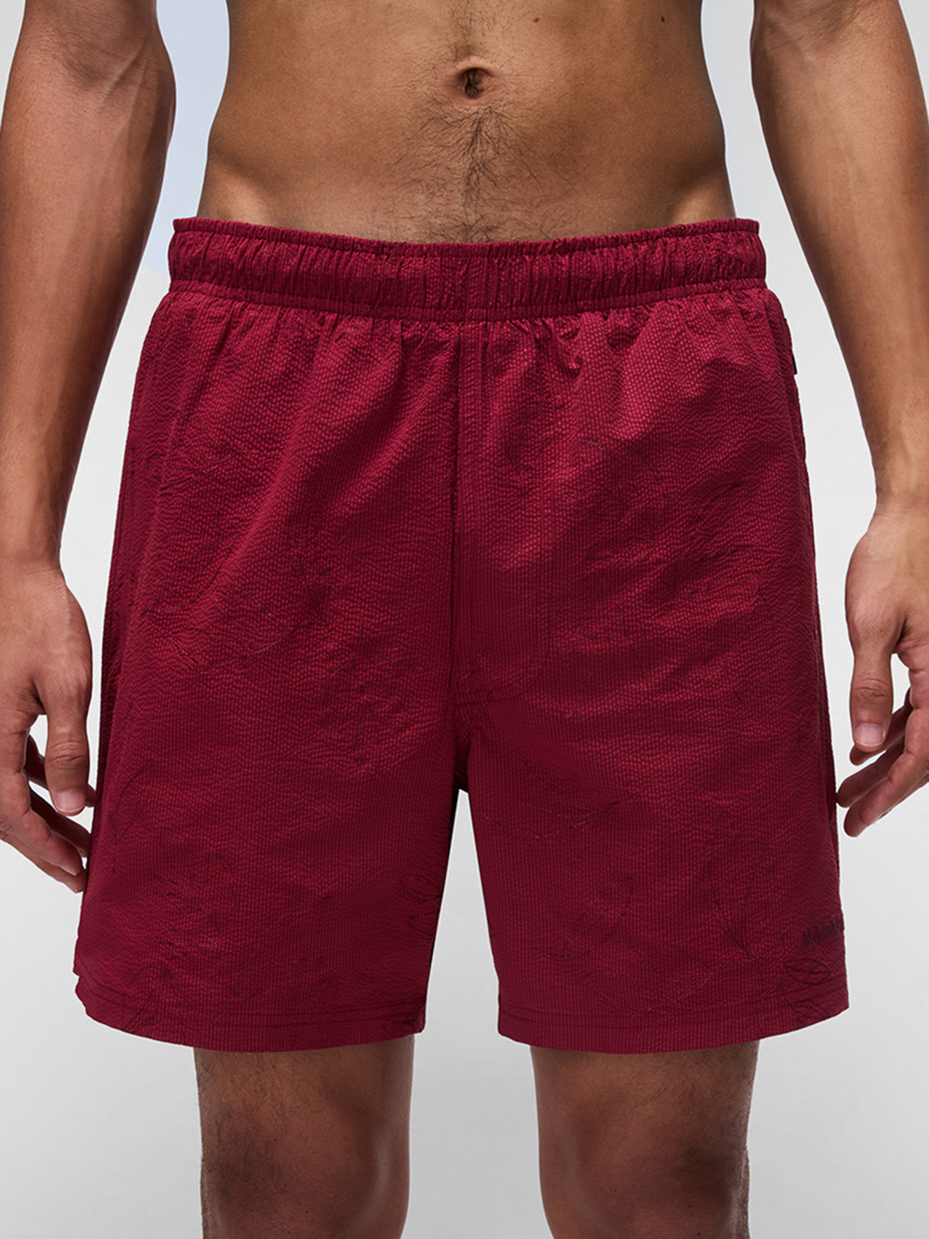 Шорты для плавания Napapijri Brolio Swimming модель NP0A4IBMFCR1 Шорты для плавания Napapijri Brolio Swimming модель NP0A4IBMFCR1 Фото