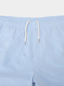 Шорты для плавания Napapijri Brolio модель NP0A4IBMFCS1 Фото