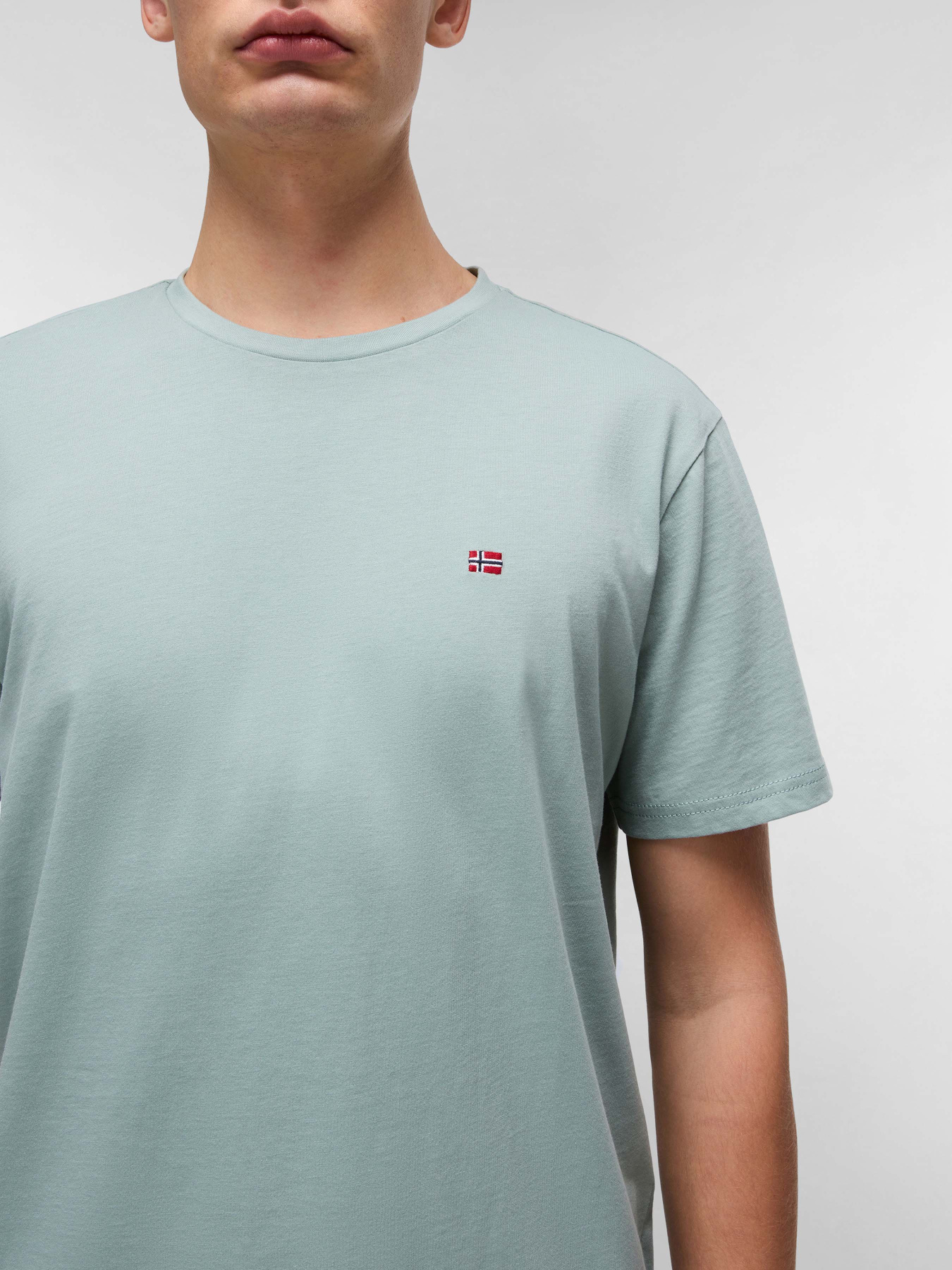 Футболка Napapijri Salis модель NP0A4H8DG1X1 Фото