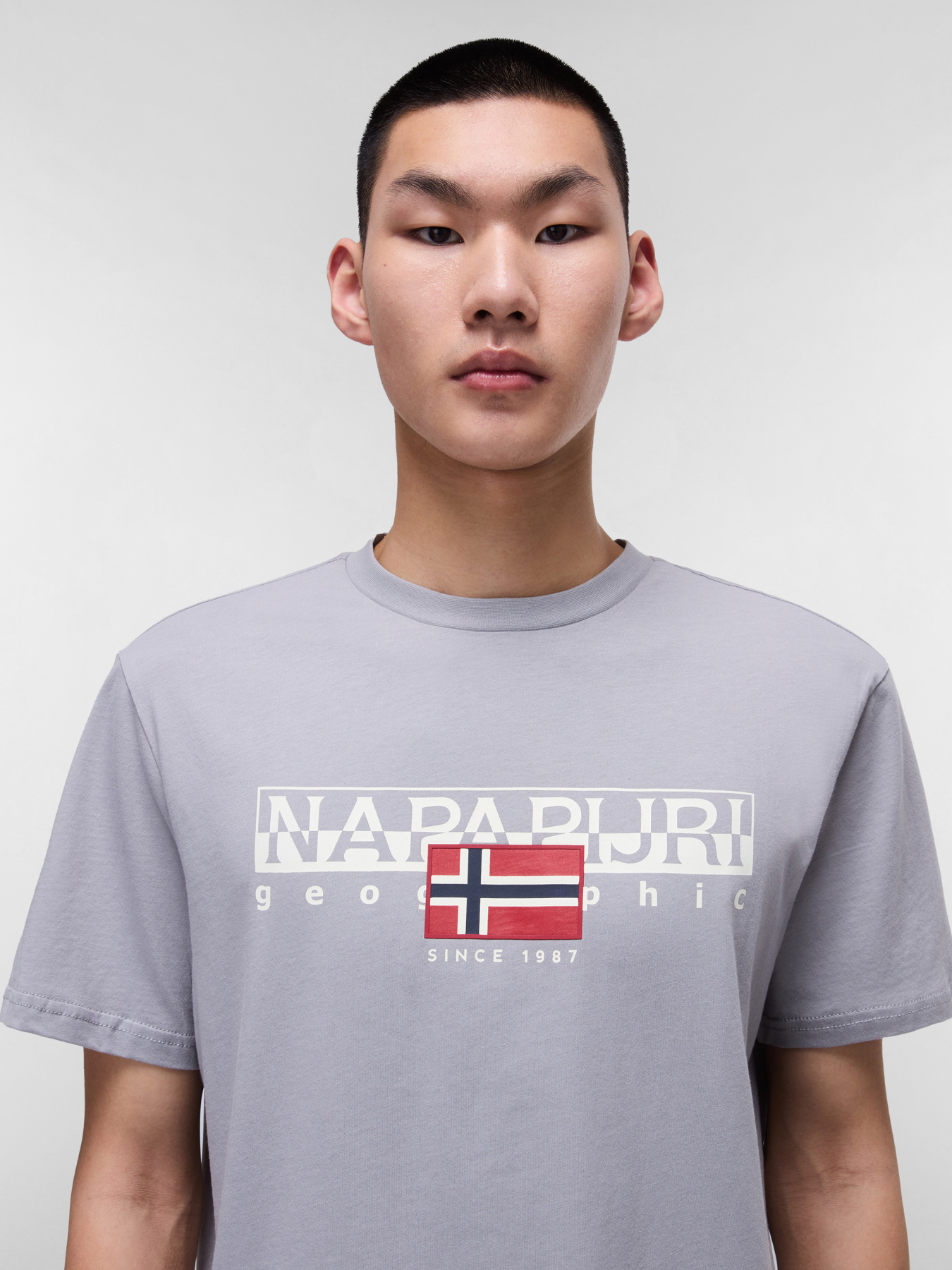 Футболка Napapijri Aylmer модель NP0A4HTOH621 Фото