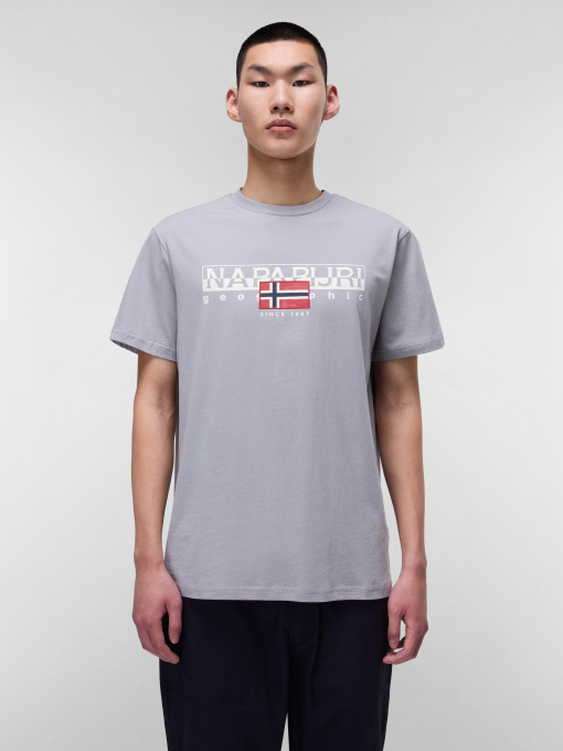 Футболка Napapijri Aylmer модель NP0A4HTOH621 Фото