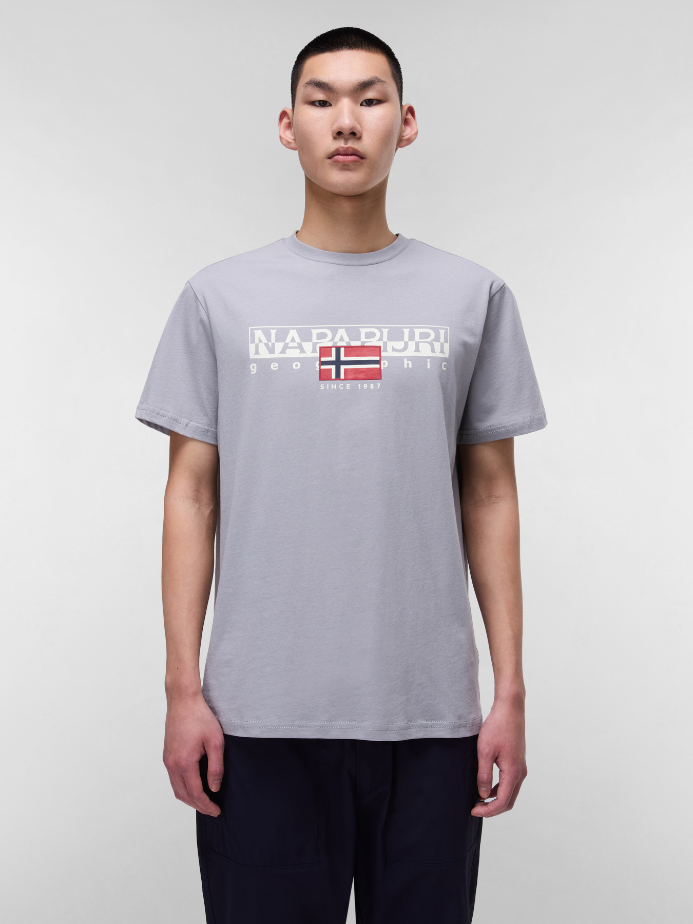 Футболка Napapijri Aylmer модель NP0A4HTOH621 Футболка Napapijri Aylmer модель NP0A4HTOH621 Фото