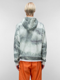 Худі Napapijri Tora модель NP0A4ICFFCP1 Фото