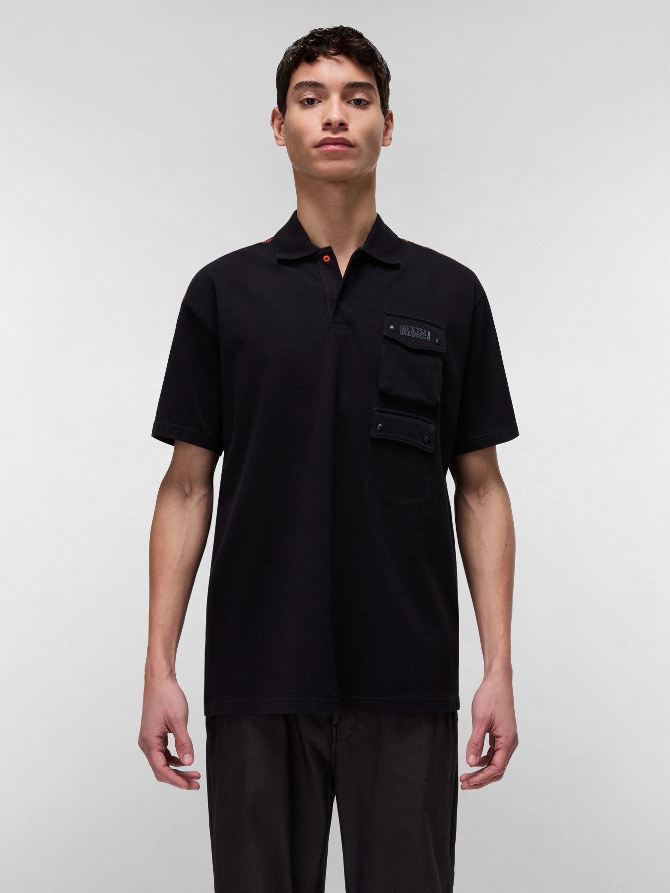 Поло Napapijri Rivalto модель NP0A4ID89411 Поло Napapijri Rivalto модель NP0A4ID89411 Фото