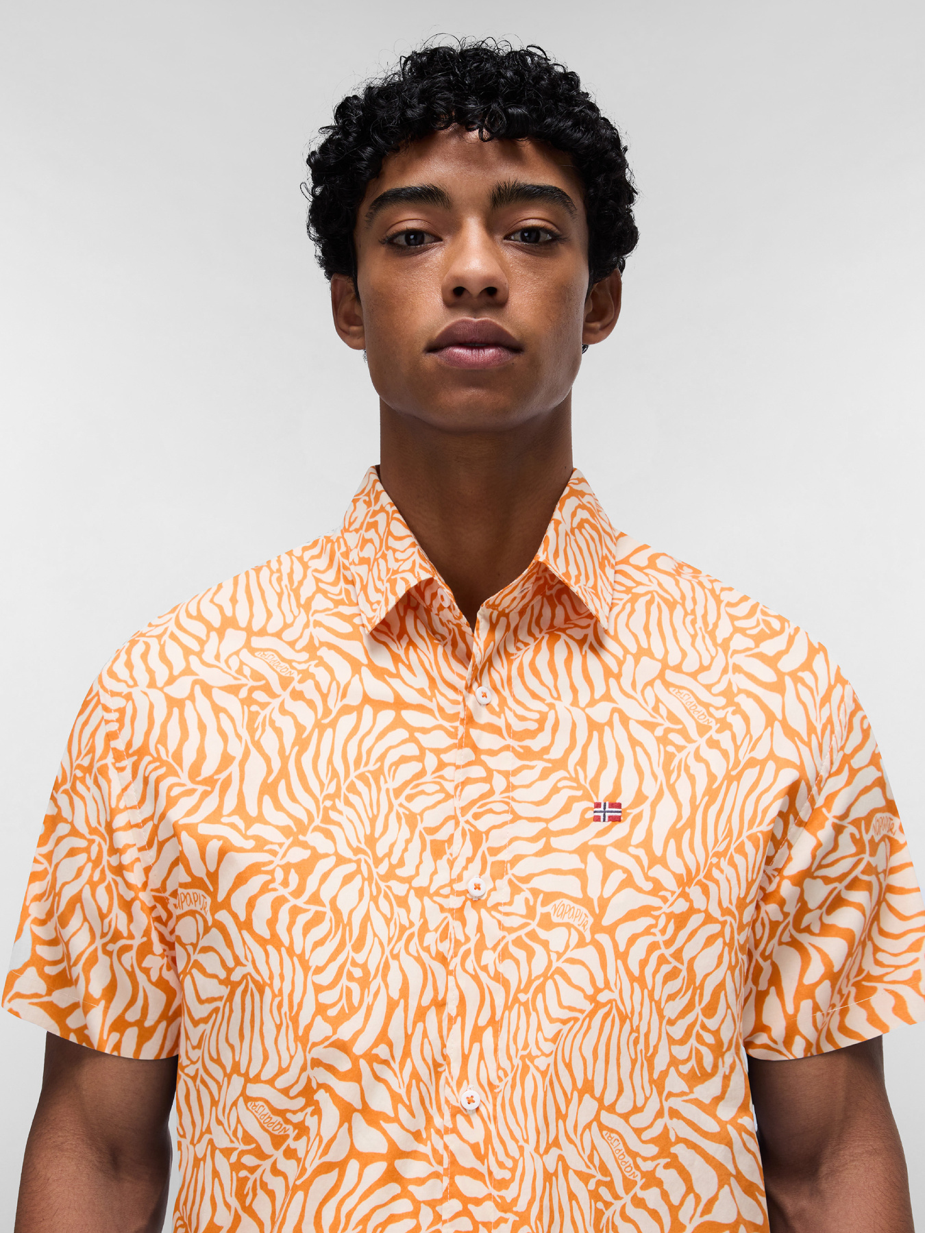 Сорочка Napapijri Ronge модель NP0A4IDLFCW1 Фото