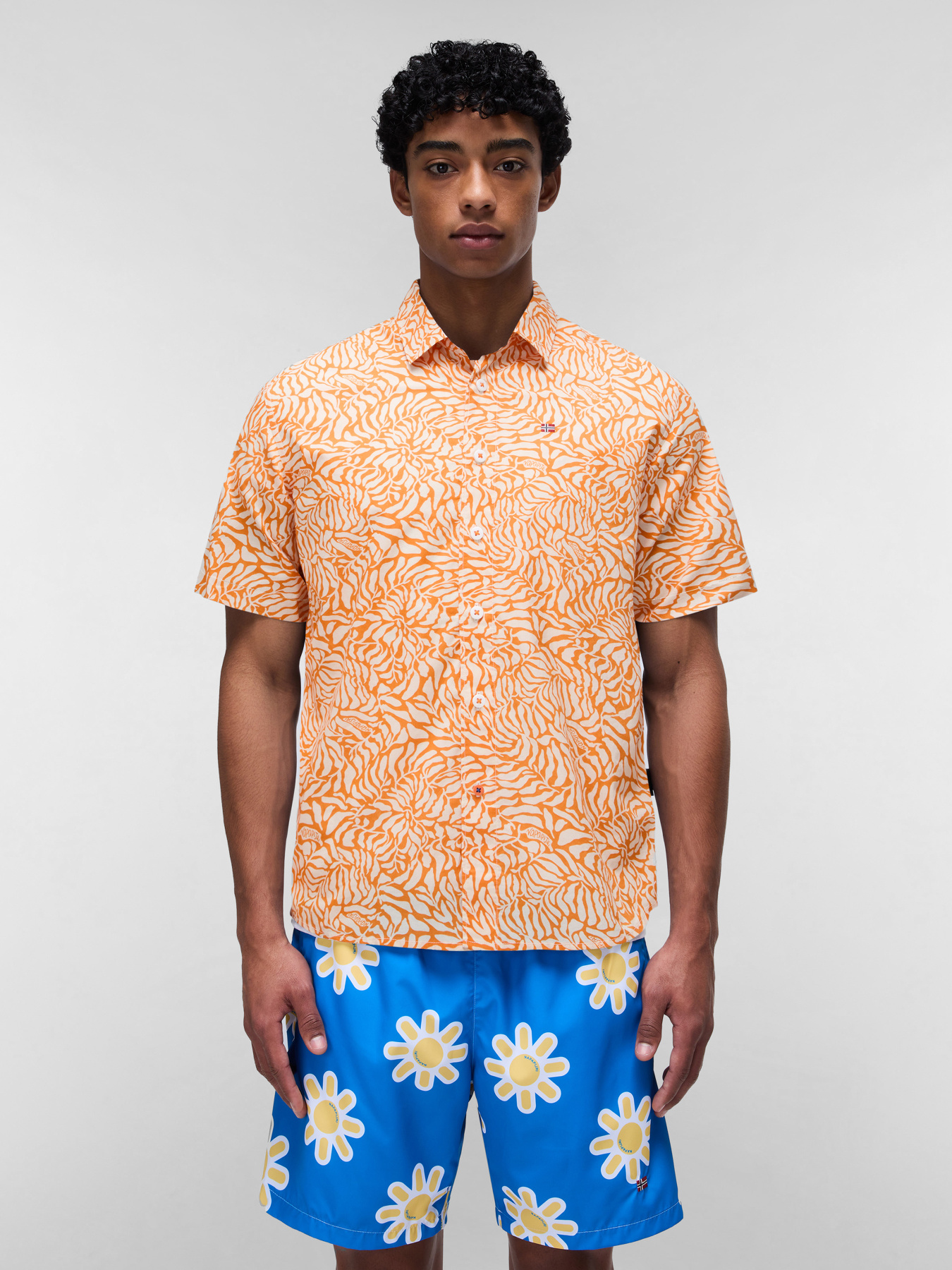 Сорочка повсякденна Napapijri Ronge модель NP0A4IDLFCW1 Фото