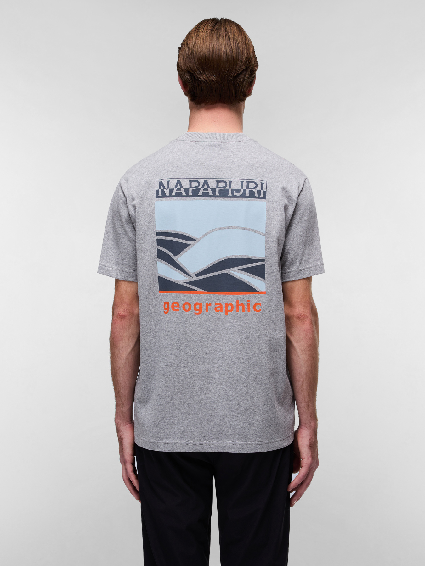 Футболка Napapijri Sovana модель NP0A4IE41601 Фото