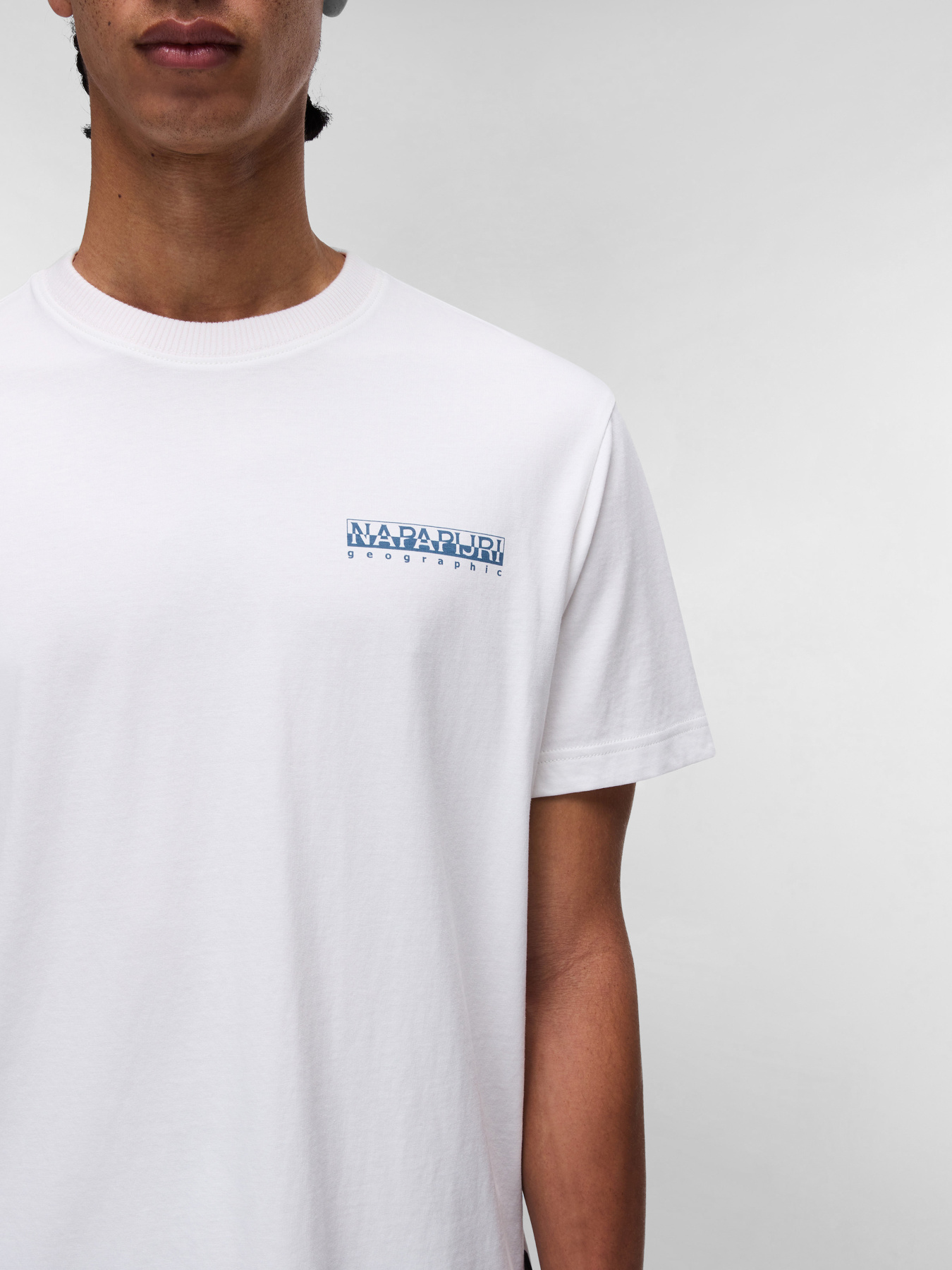 Футболка Napapijri Sovana модель NP0A4IE42061 Футболка Napapijri Sovana модель NP0A4IE42061 Фото