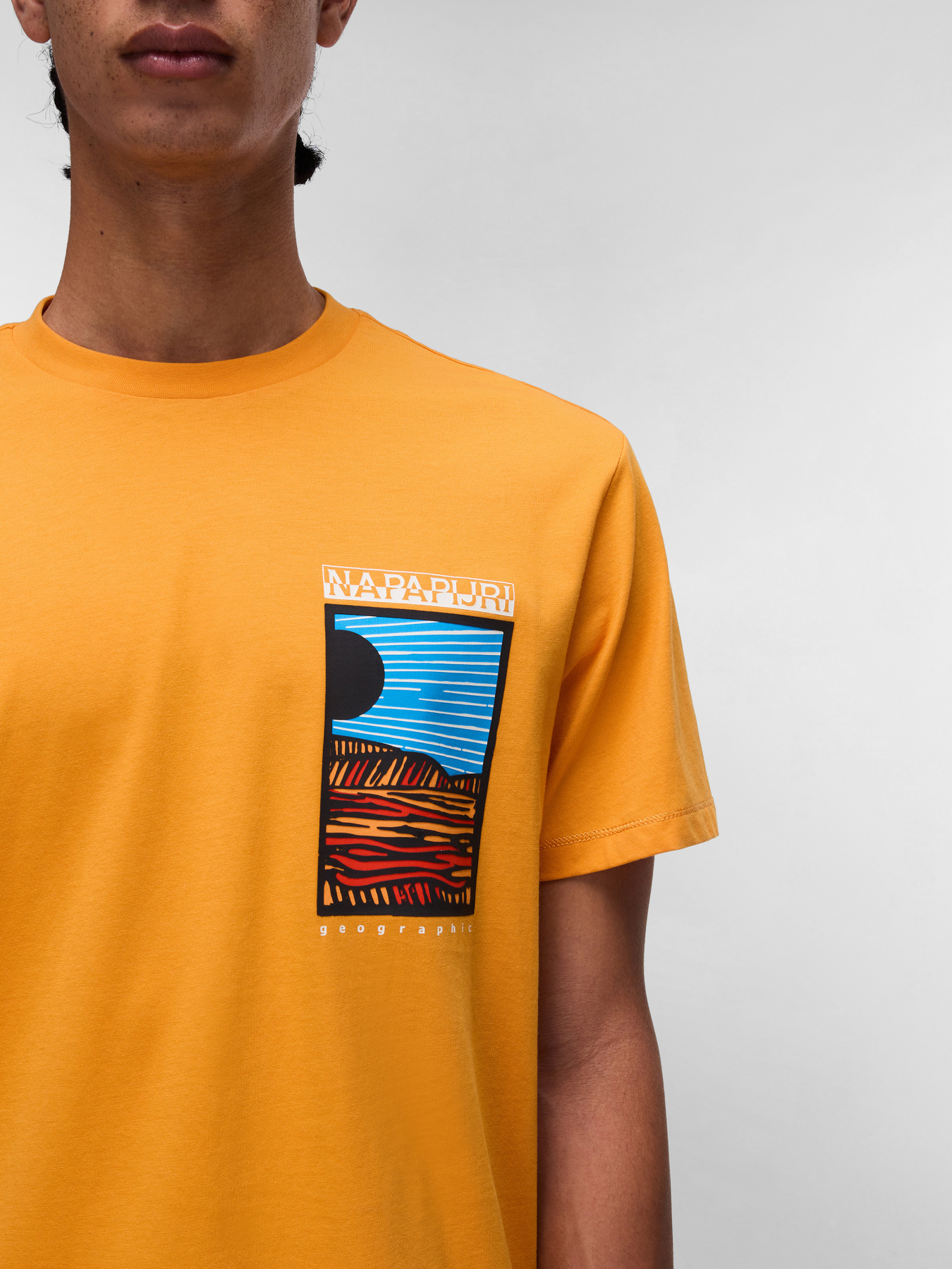 Футболка Napapijri Valdor модель NP0A4IE6A701 Фото