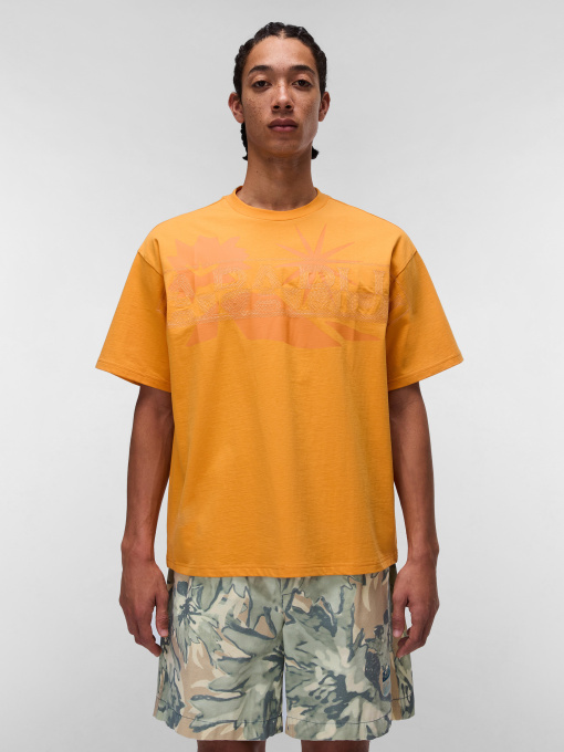 Футболка Napapijri Fiora Модель NP0A4IE9A701 Фото