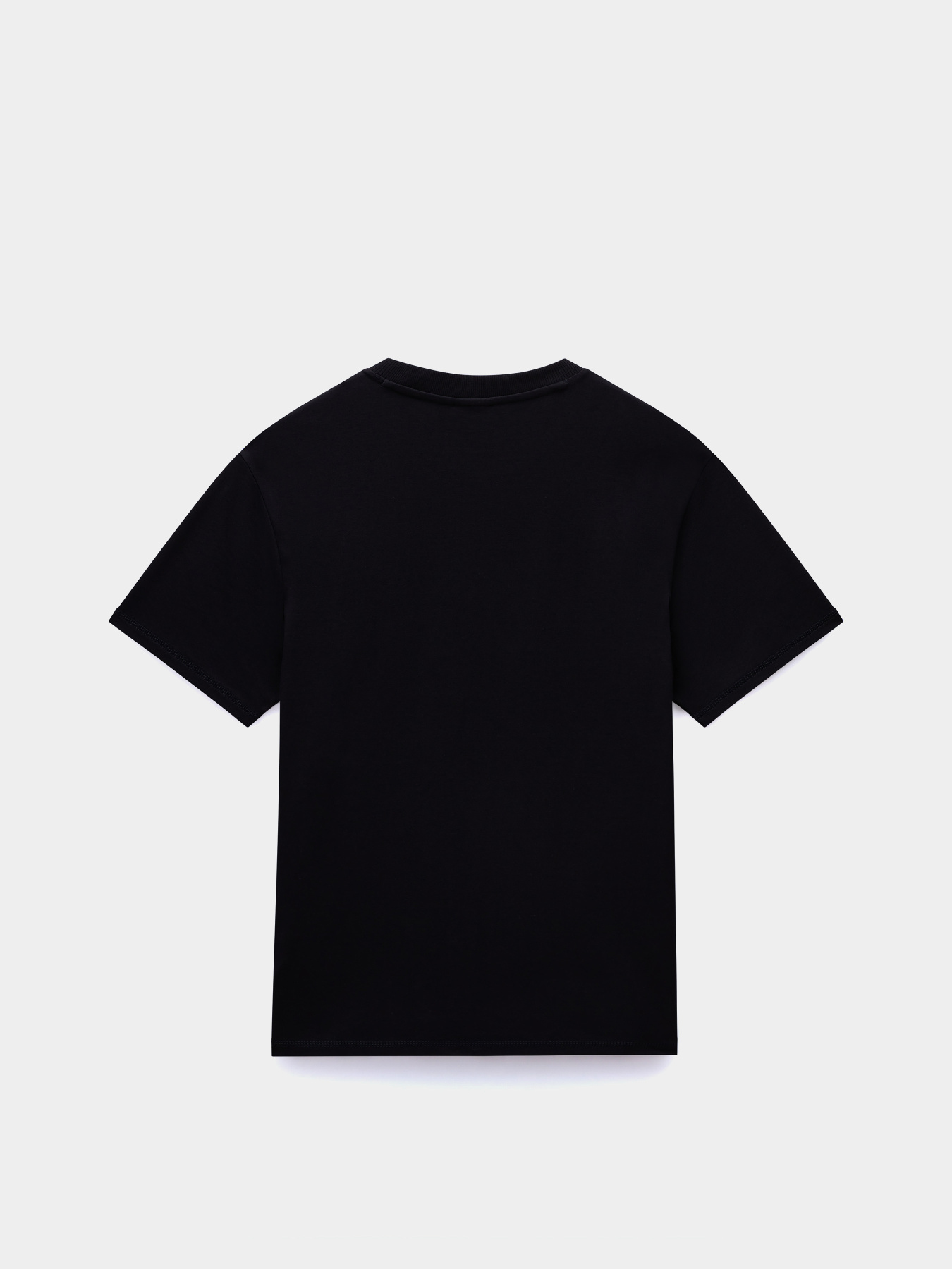 Футболка Napapijri Vanni модель NP0A4IEA9411 Фото