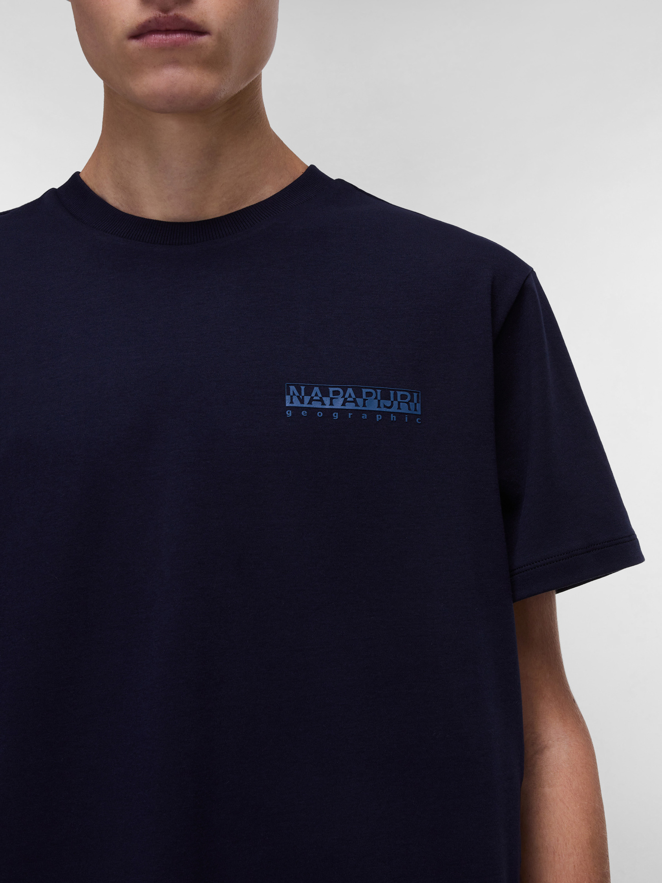 Футболка Napapijri Vanni модель NP0A4IED1761 Фото