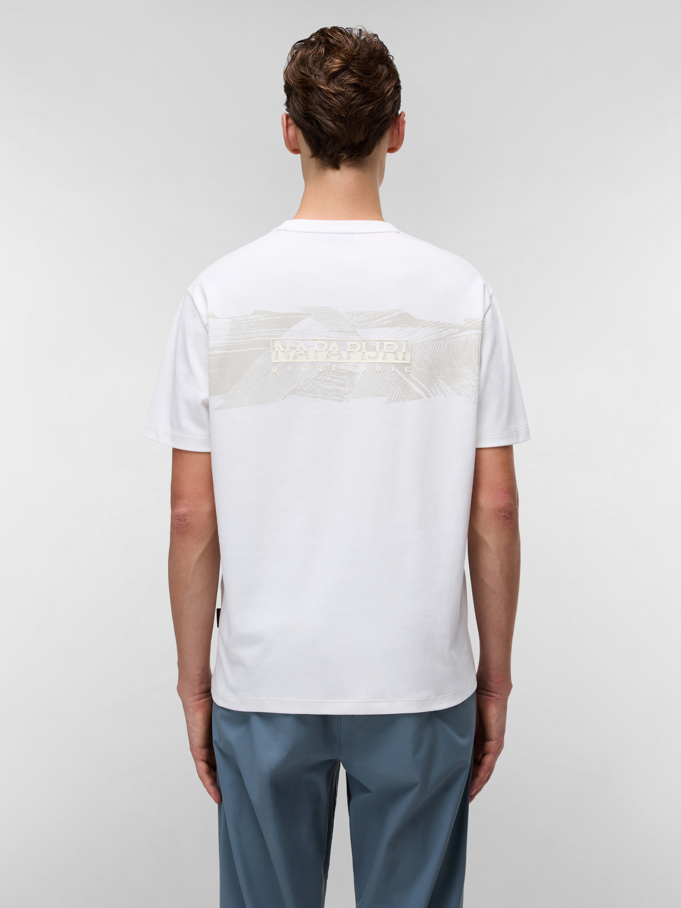 Футболка Napapijri Vanni модель NP0A4IED2061 Фото