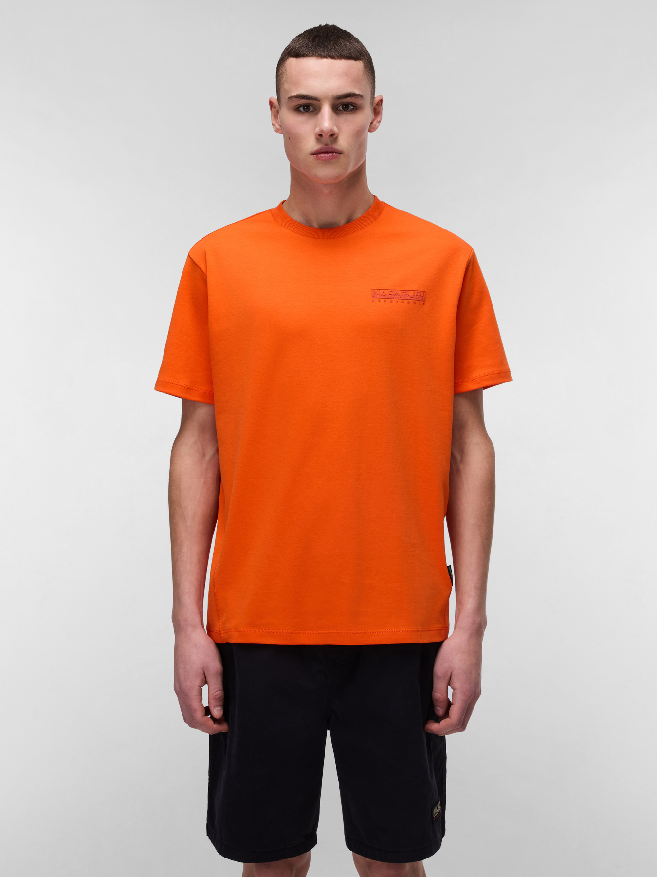 Футболка Napapijri Vanni модель NP0A4IEDA001 Фото