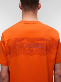 Футболка Napapijri Vanni модель NP0A4IEDA001 Фото