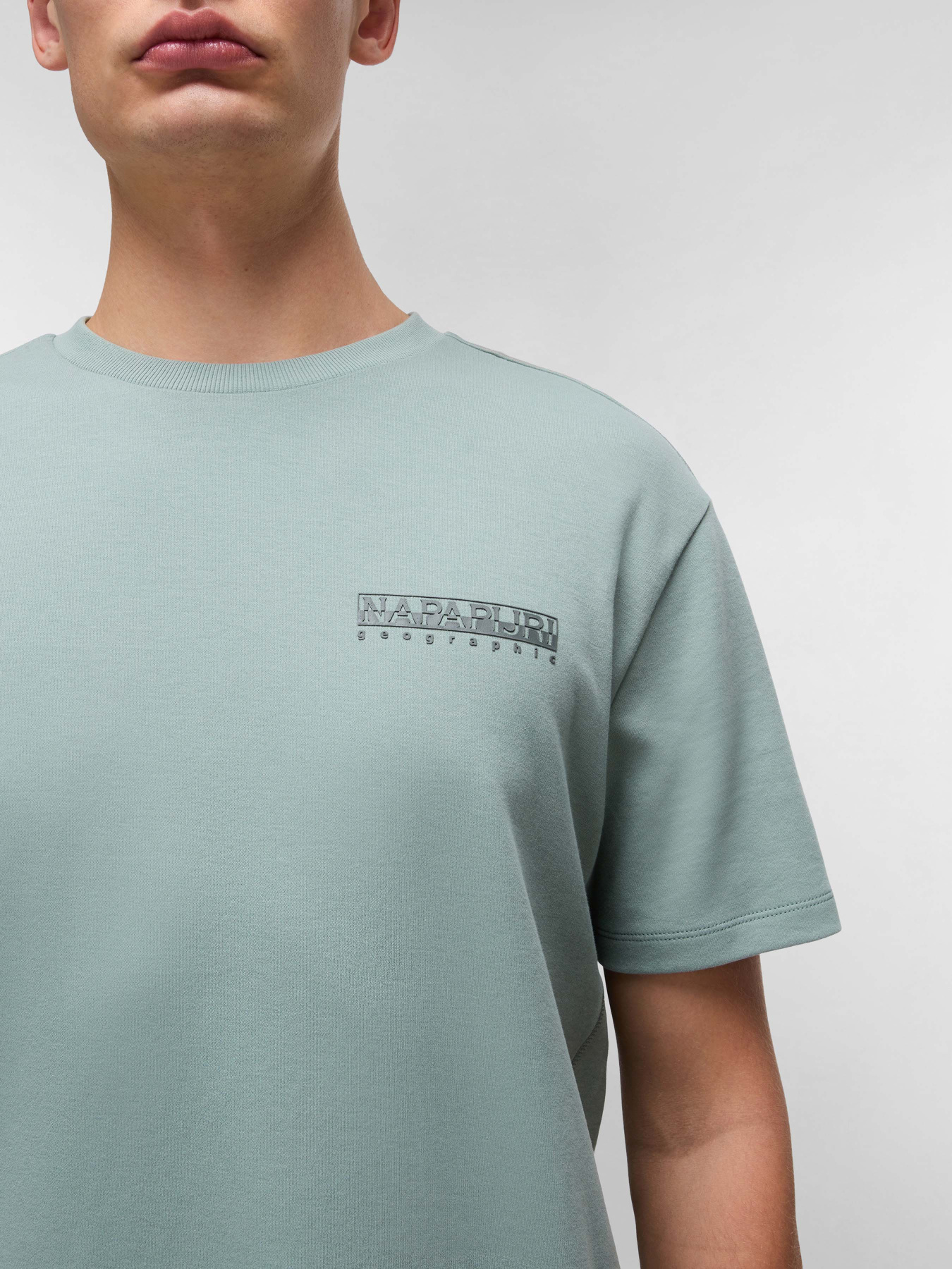Футболка Napapijri Vanni модель NP0A4IEDG1X1 Фото