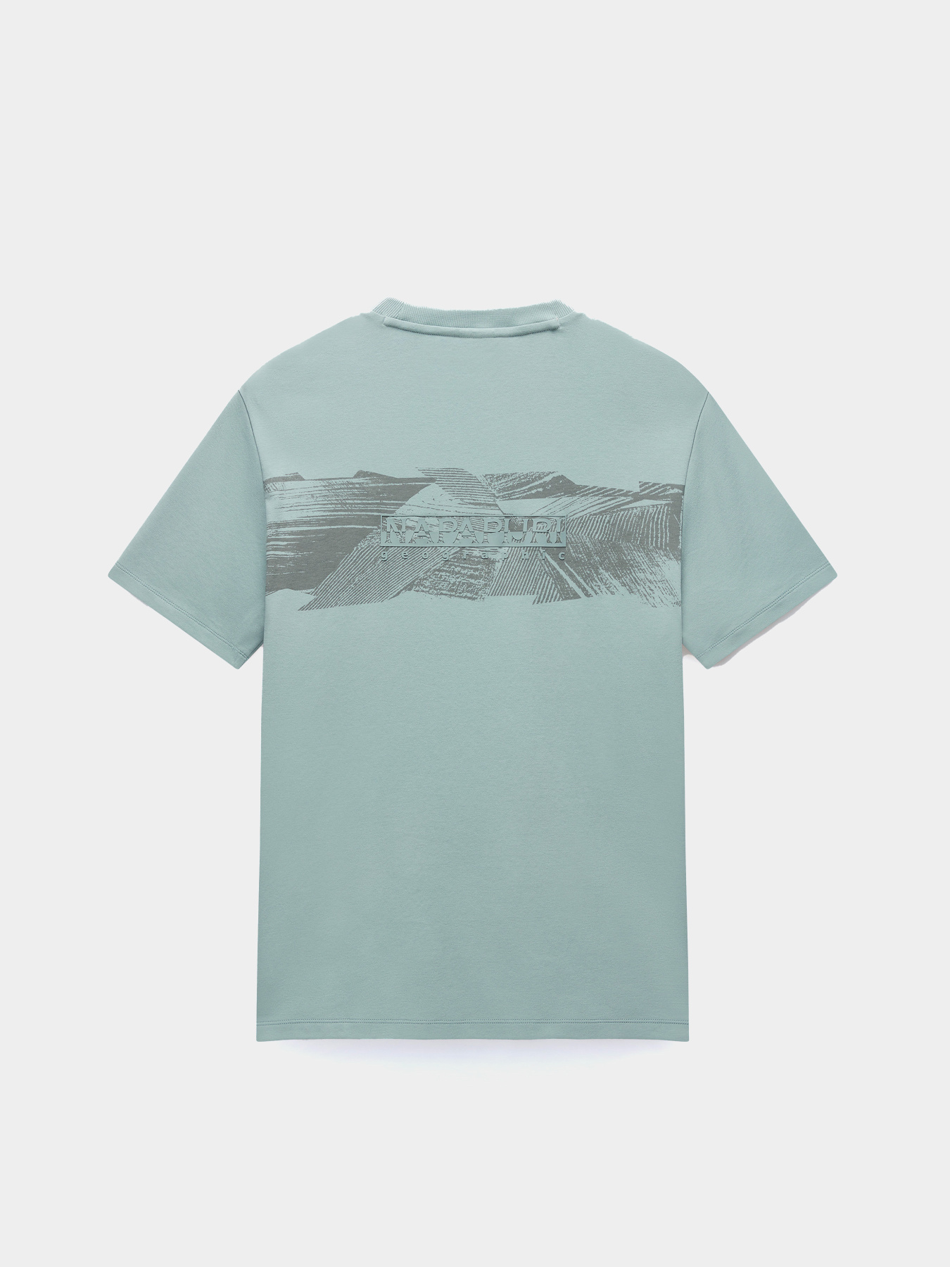 Футболка Napapijri Vanni модель NP0A4IEDG1X1 Фото