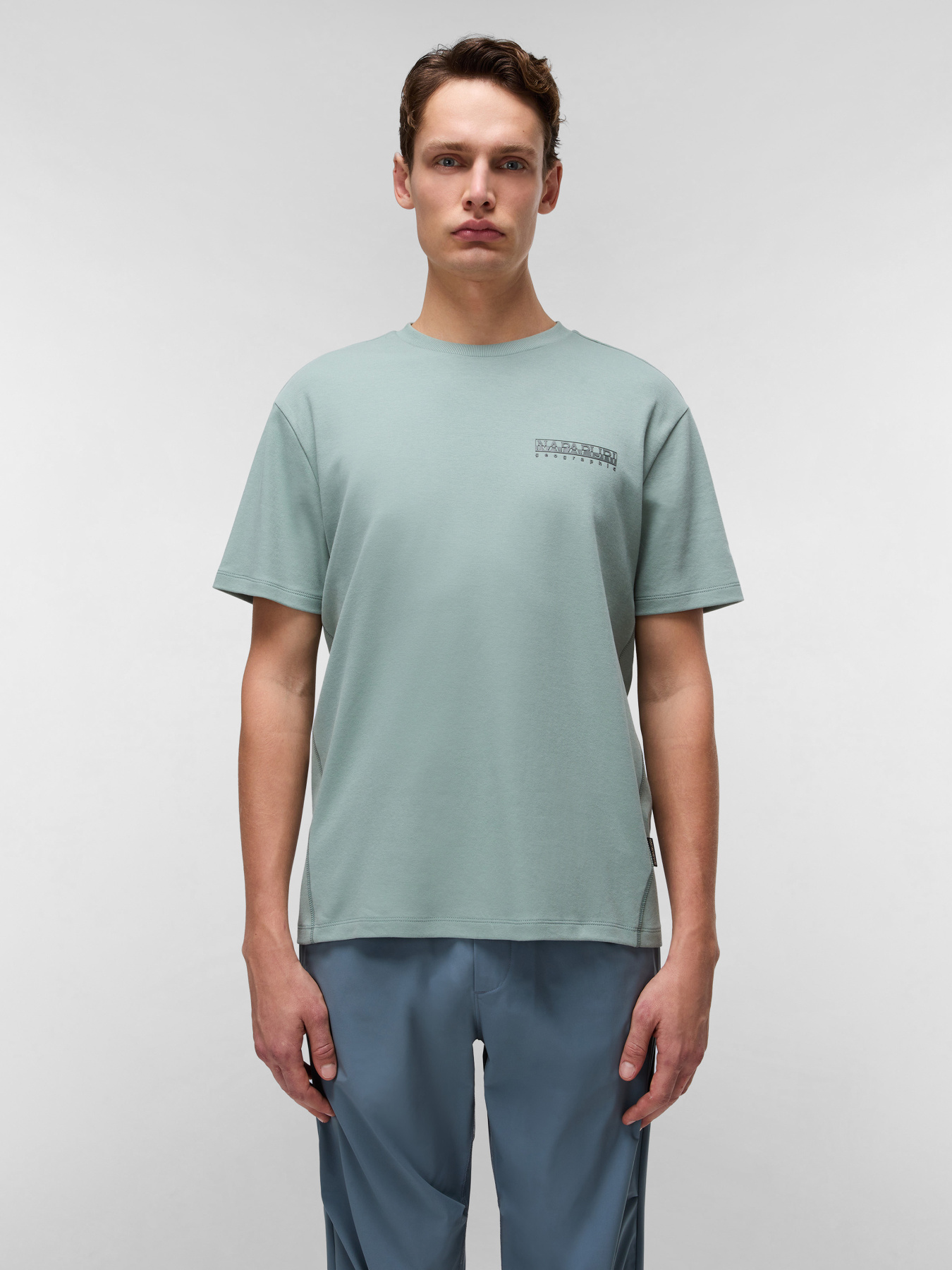 Футболка Napapijri Vanni модель NP0A4IEDG1X1 Фото