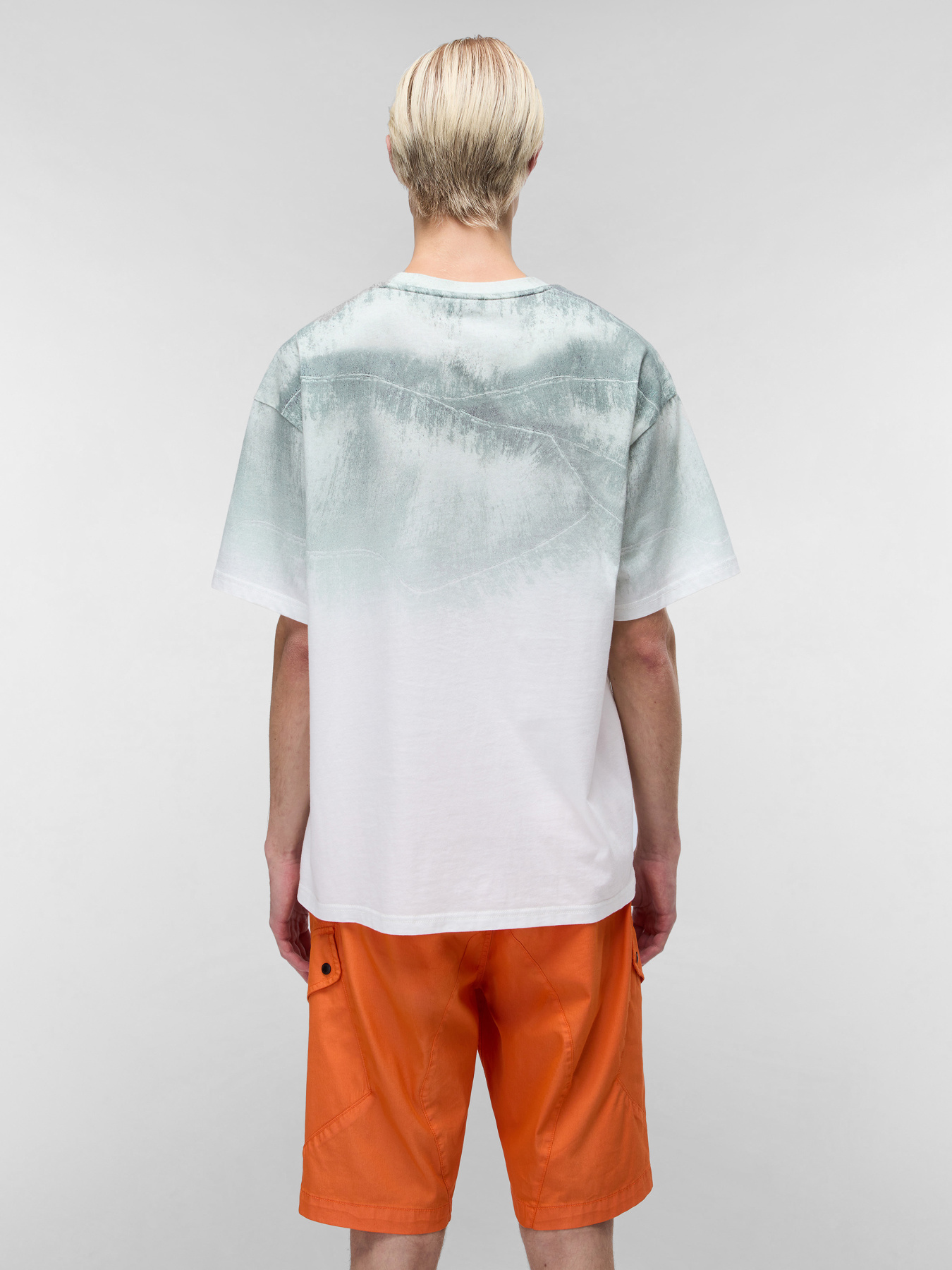 Футболка Napapijri Tora модель NP0A4IEKN1A1 Фото