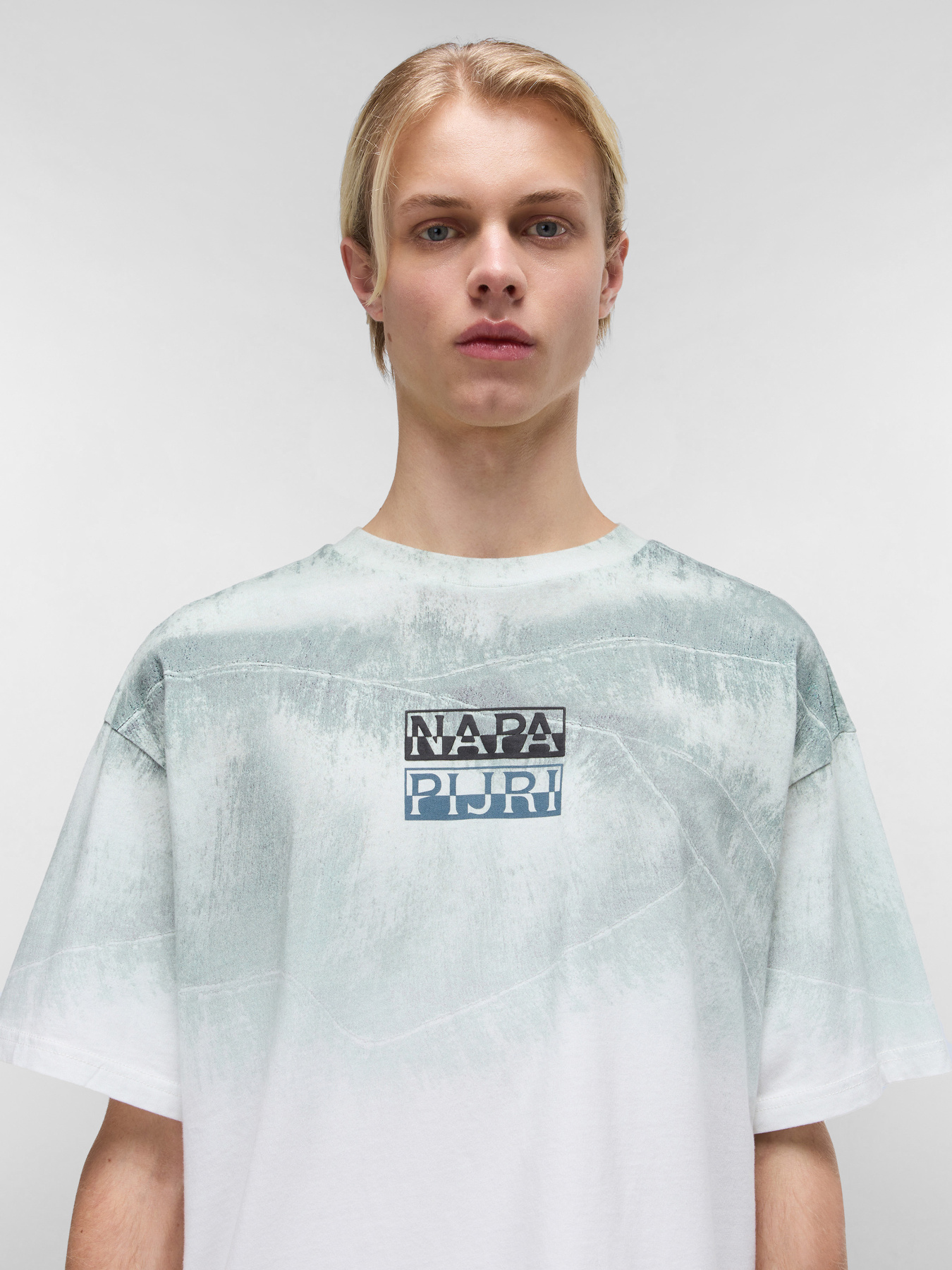 Футболка Napapijri Tora модель NP0A4IEKN1A1 Фото