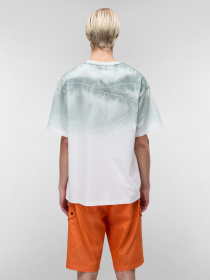 Футболка Napapijri Tora модель NP0A4IEKN1A1 Фото