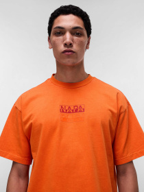 Футболка Napapijri Cortona Summer модель NP0A4ILQA001 Фото