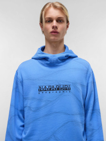 Худи Napapijri Cellini модель NP0A4ILRF0K1 Фото