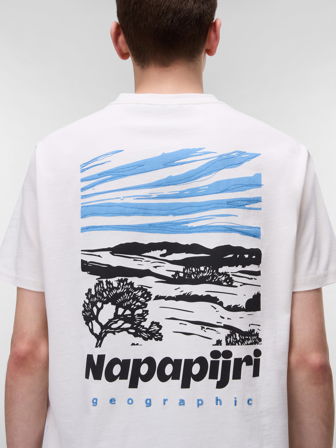 Футболка Napapijri Vignoni модель NP0A4ILXN1A1 Футболка Napapijri Vignoni модель NP0A4ILXN1A1 Фото