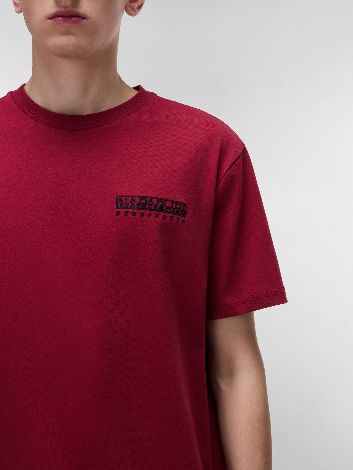 Футболка Napapijri Vignoni модель NP0A4ILXR1E1 Футболка Napapijri Vignoni модель NP0A4ILXR1E1 Фото