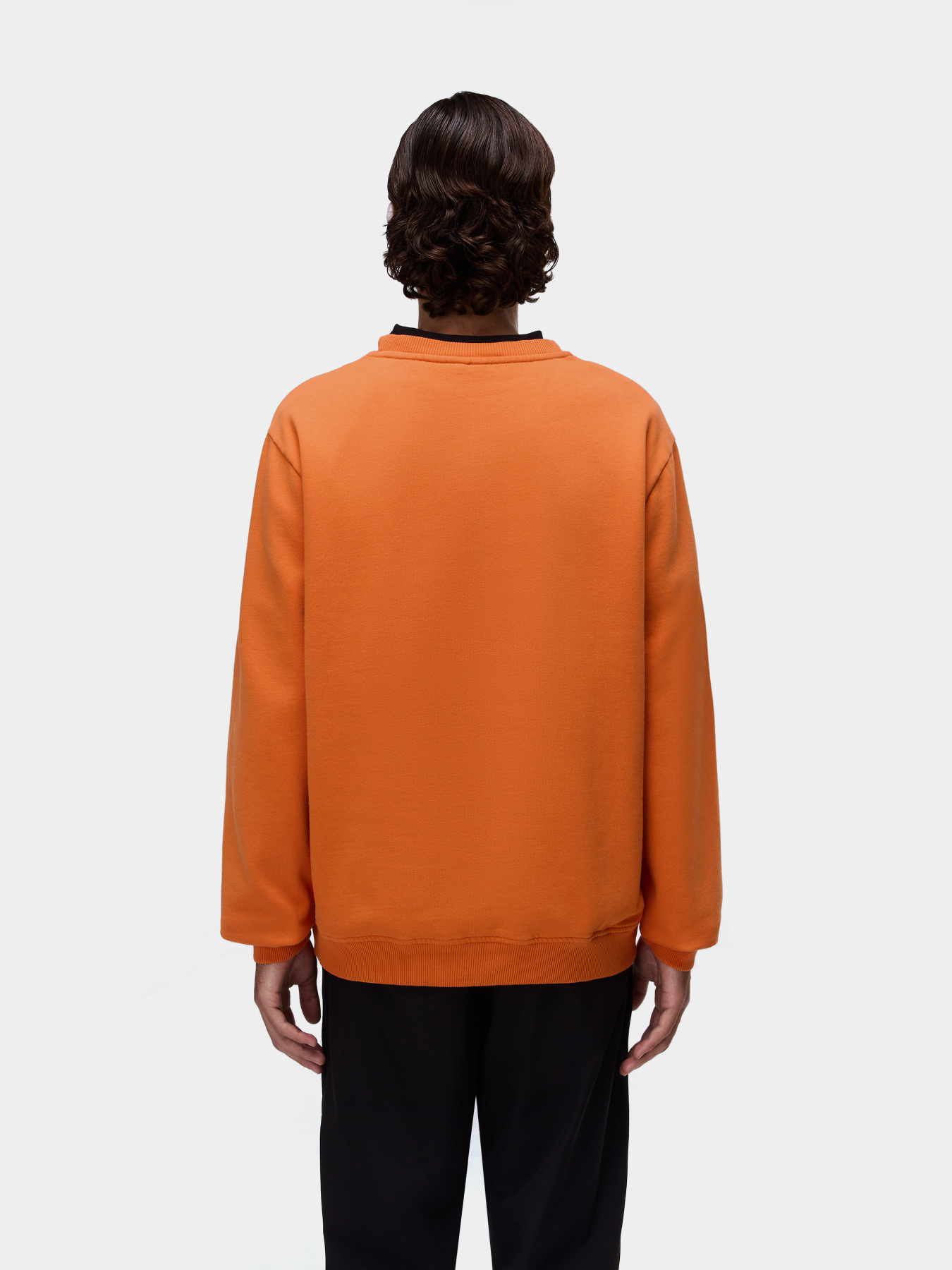 Свитшот Napapijri Balis модель NP0A4FQWA681 Фото