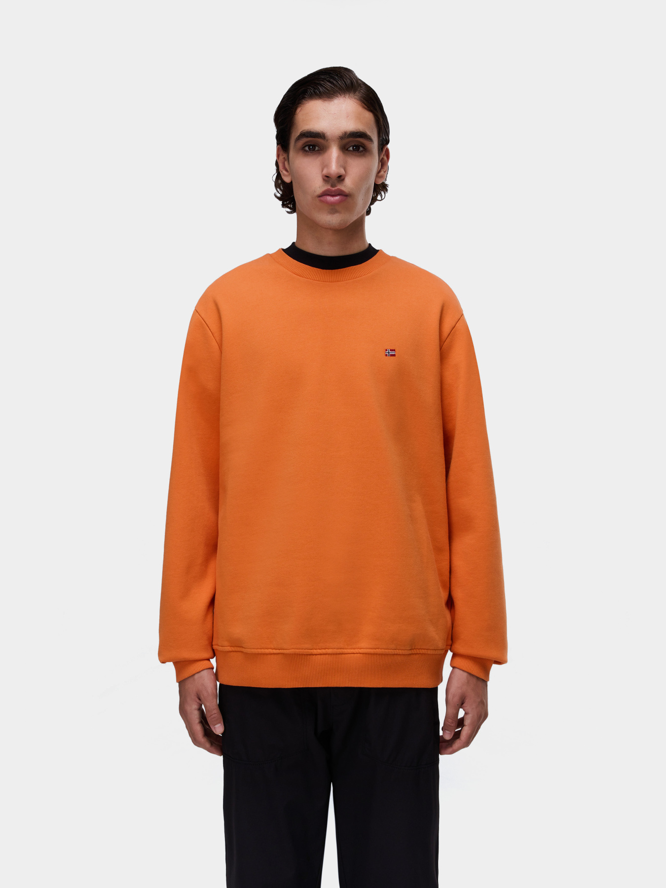 Свитшот Napapijri Balis модель NP0A4FQWA681 Фото