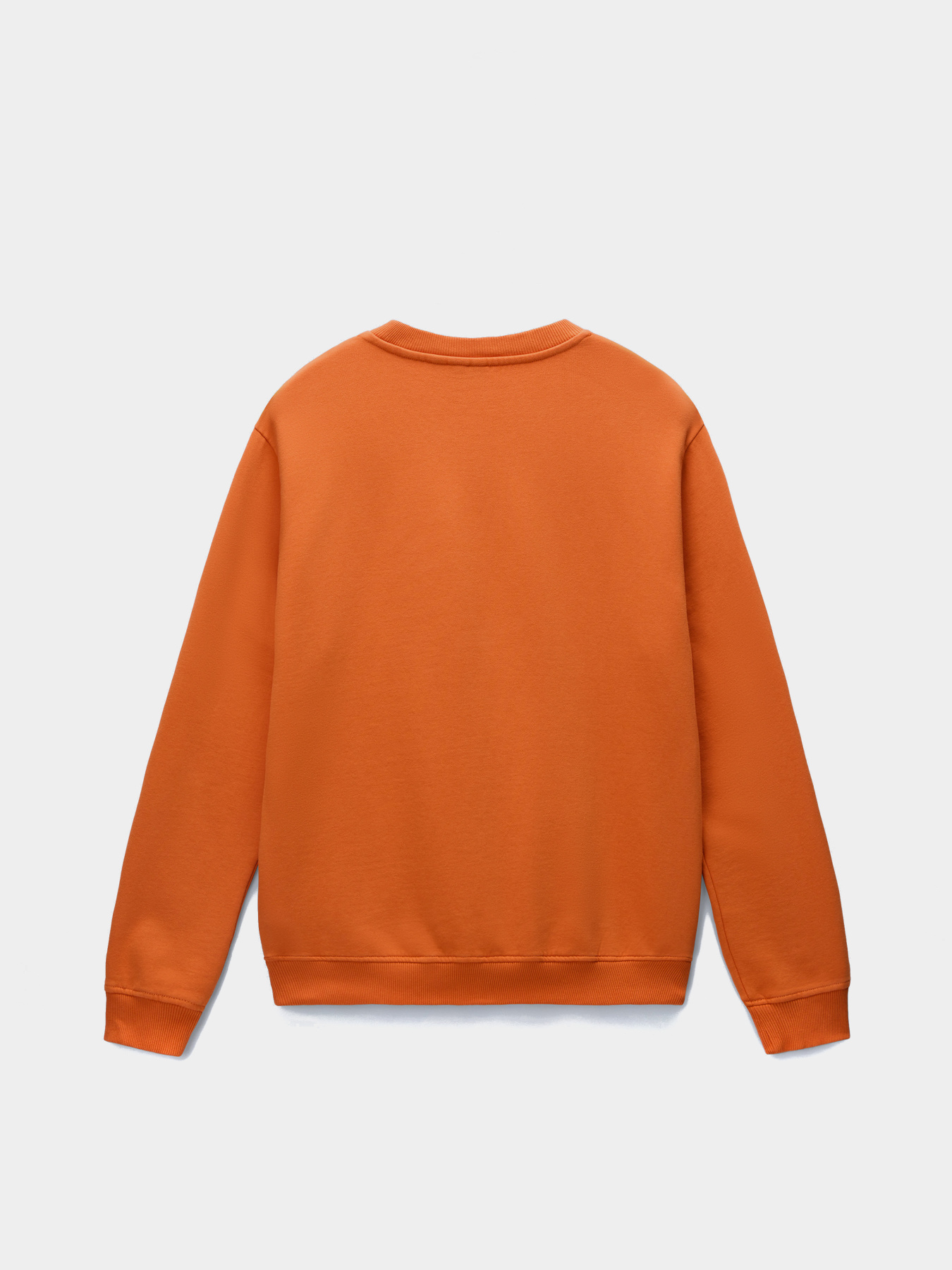 Свитшот Napapijri Balis модель NP0A4FQWA681 Фото