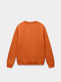 Свитшот Napapijri Balis модель NP0A4FQWA681 Фото