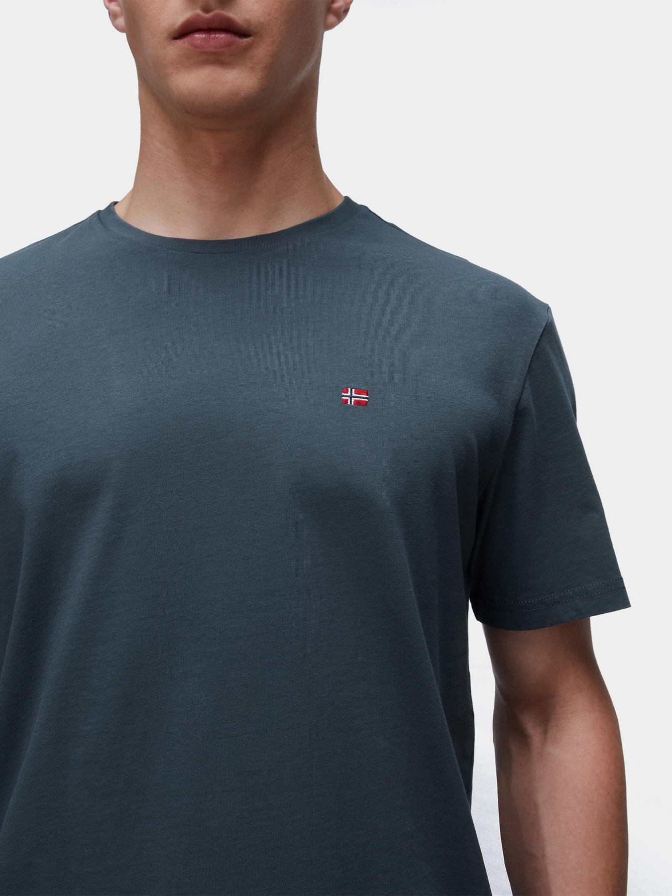 Футболка Napapijri Salis модель NP0A4H8DG1S1 Фото