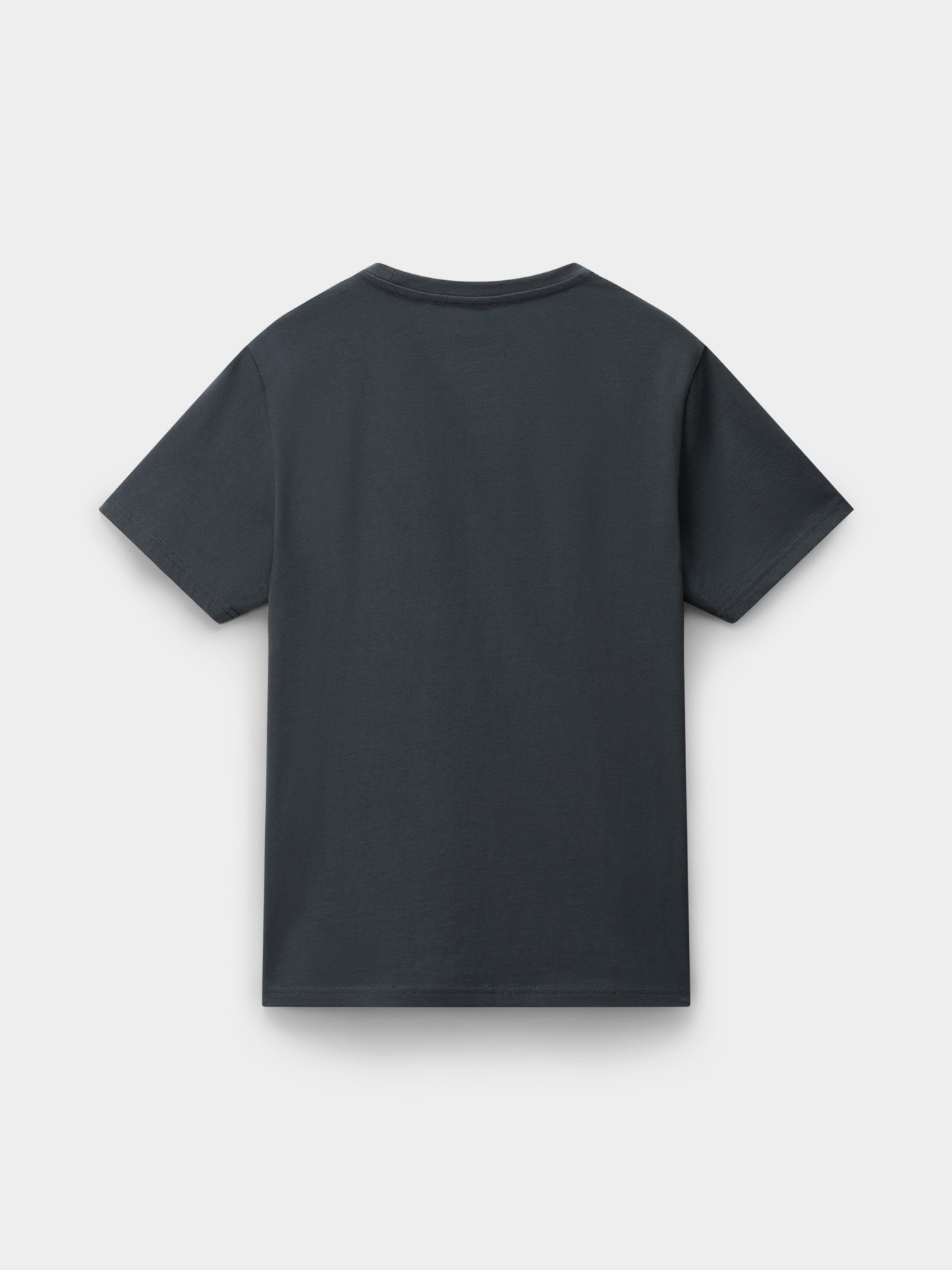 Футболка Napapijri Salis модель NP0A4H8DG1S1 Фото