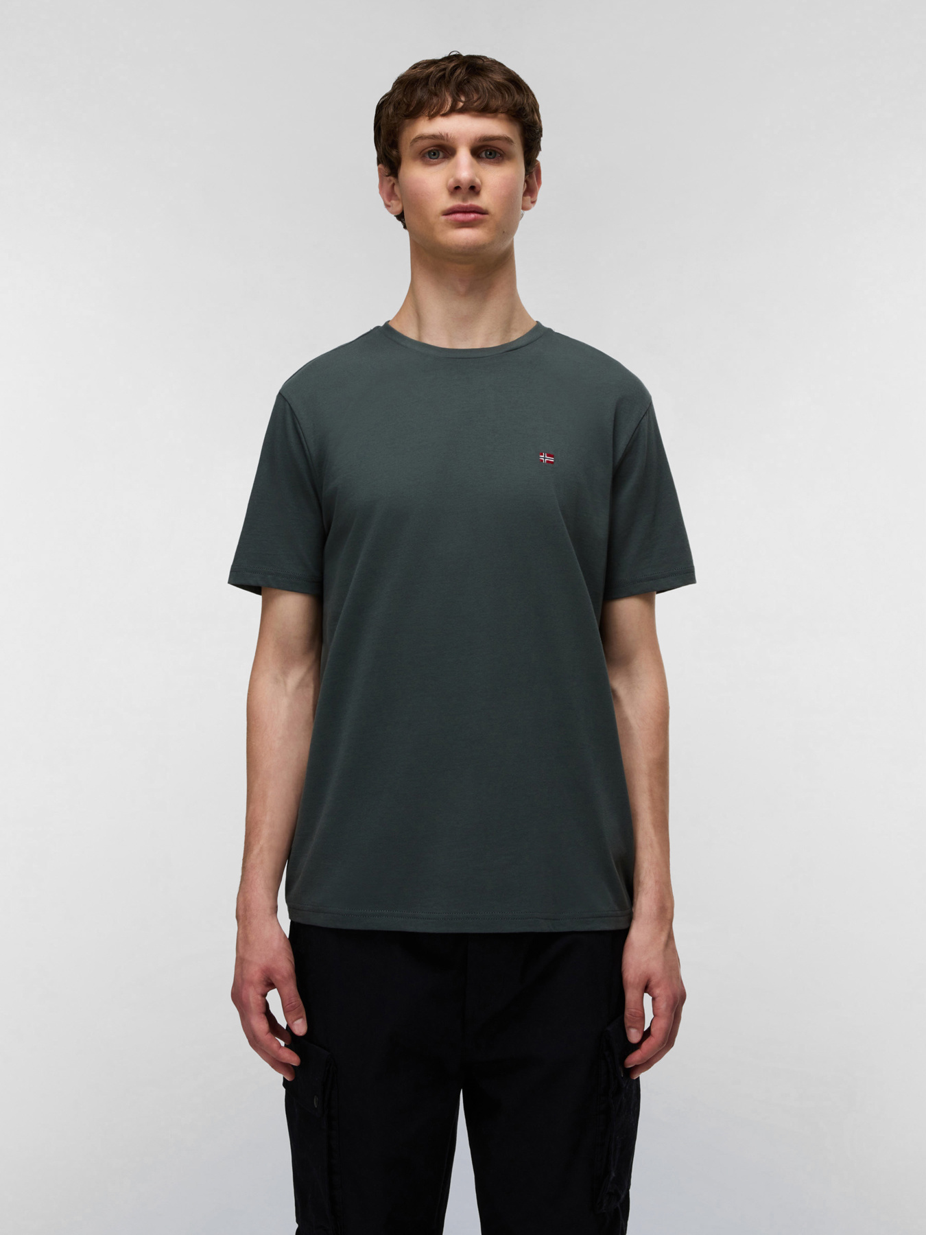 Футболка Napapijri Salis модель NP0A4H8DG1S1 Фото