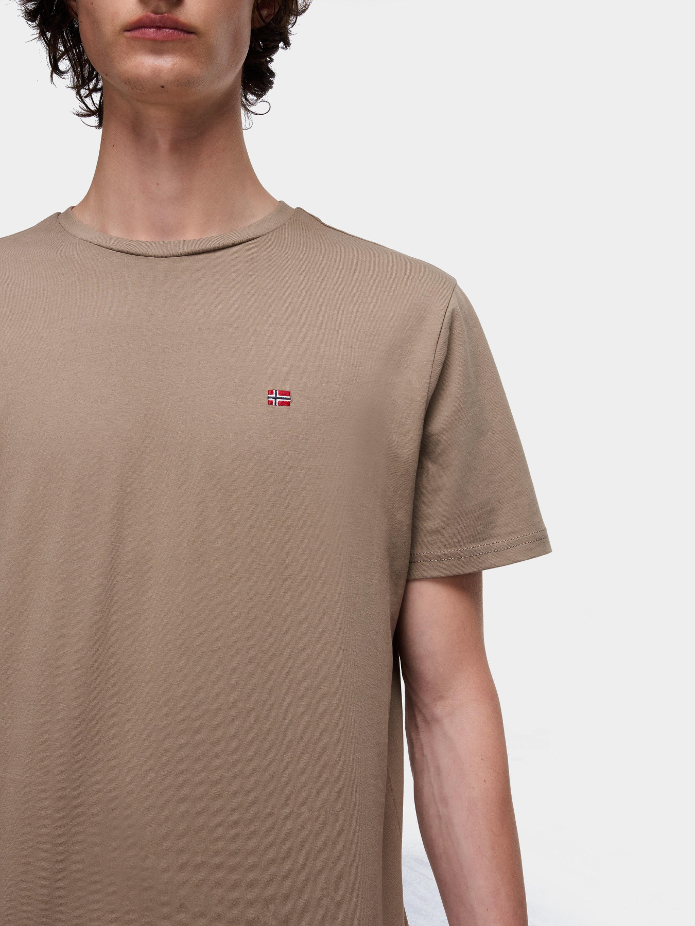 Футболка Napapijri Salis модель NP0A4H8DN1T1 Фото