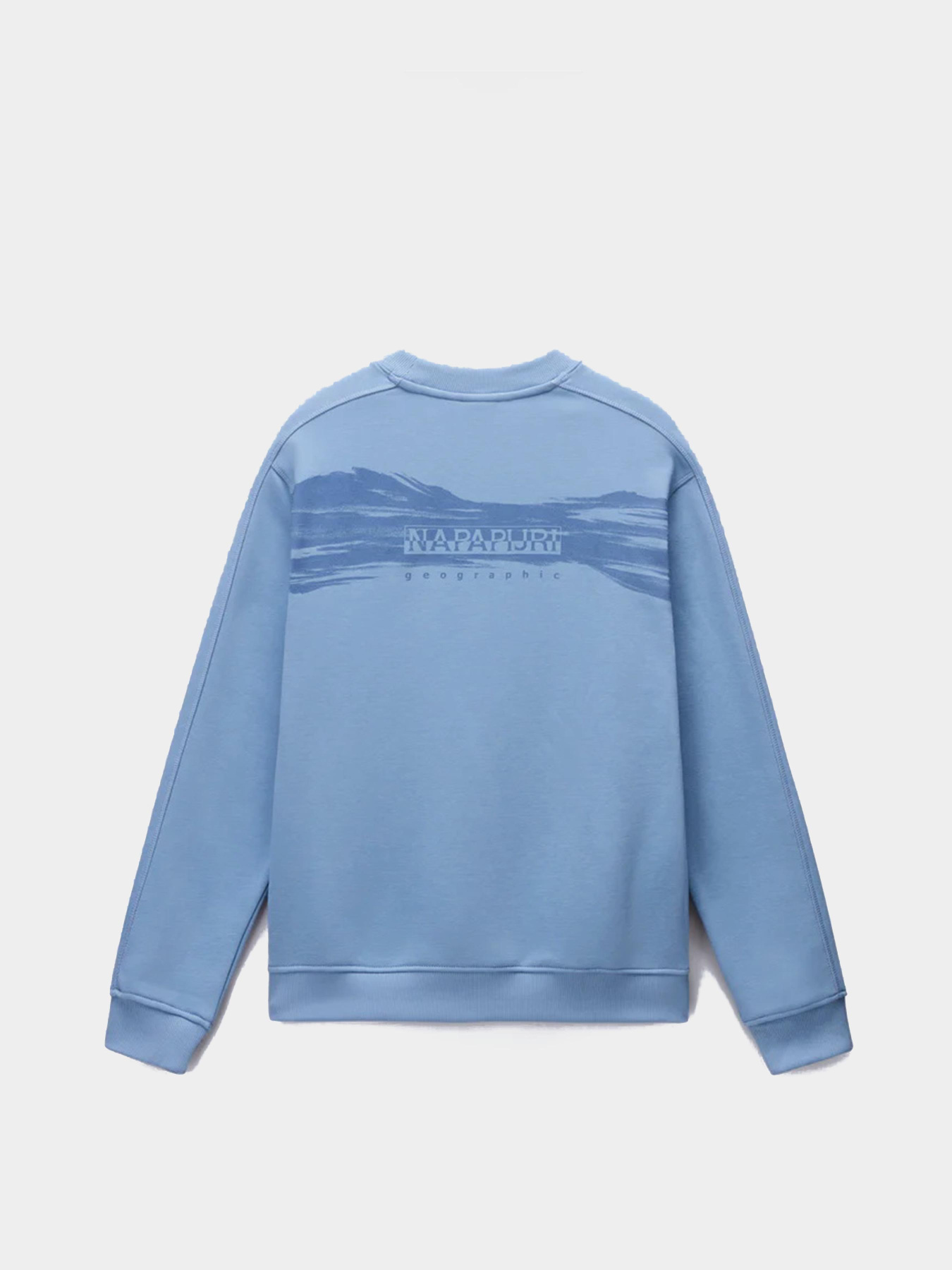 Худи Napapijri Back Graphic модель NP0A88SRI841 Фото