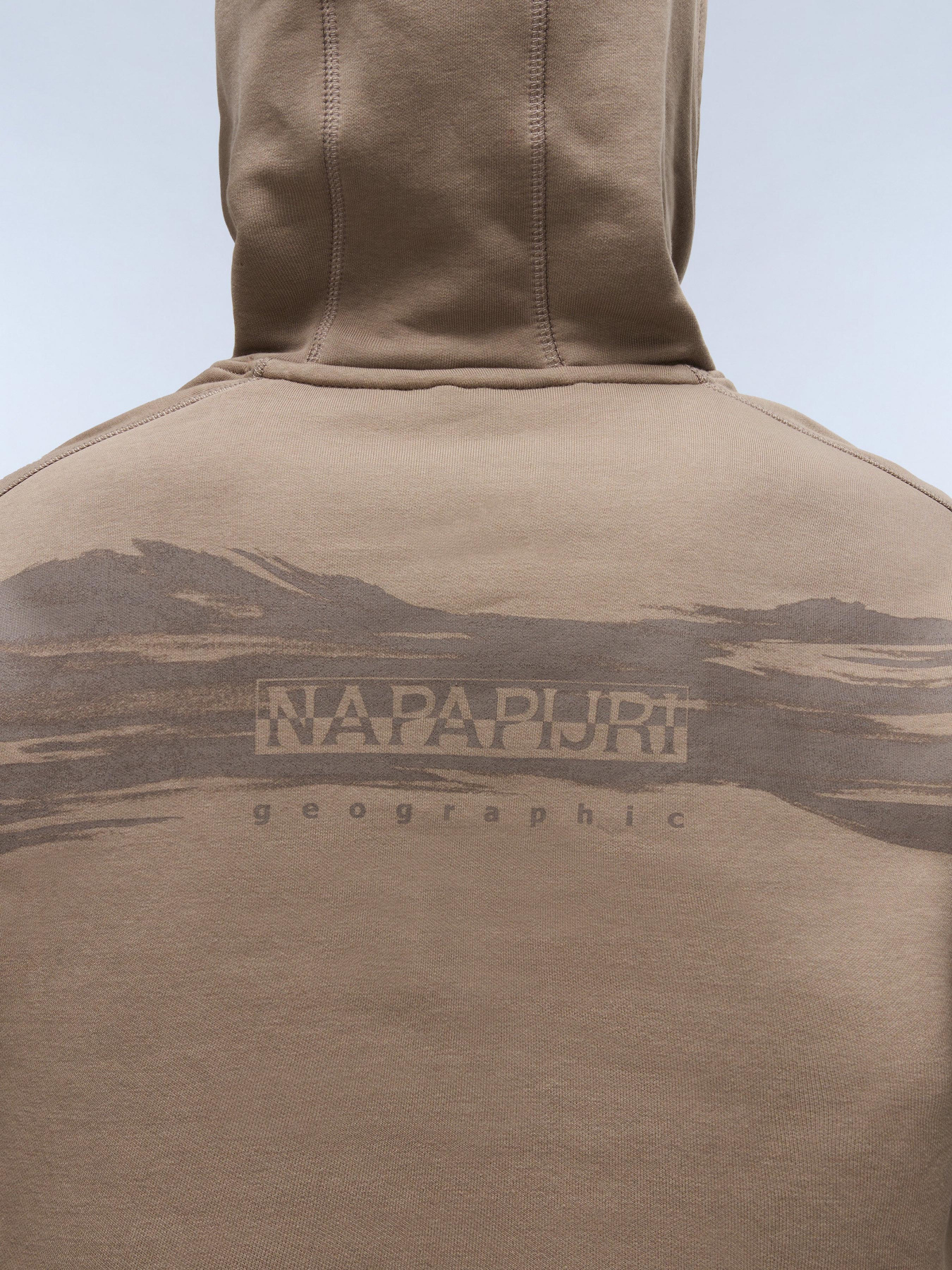 Худи Napapijri модель NP0A88SRN1T1 Фото