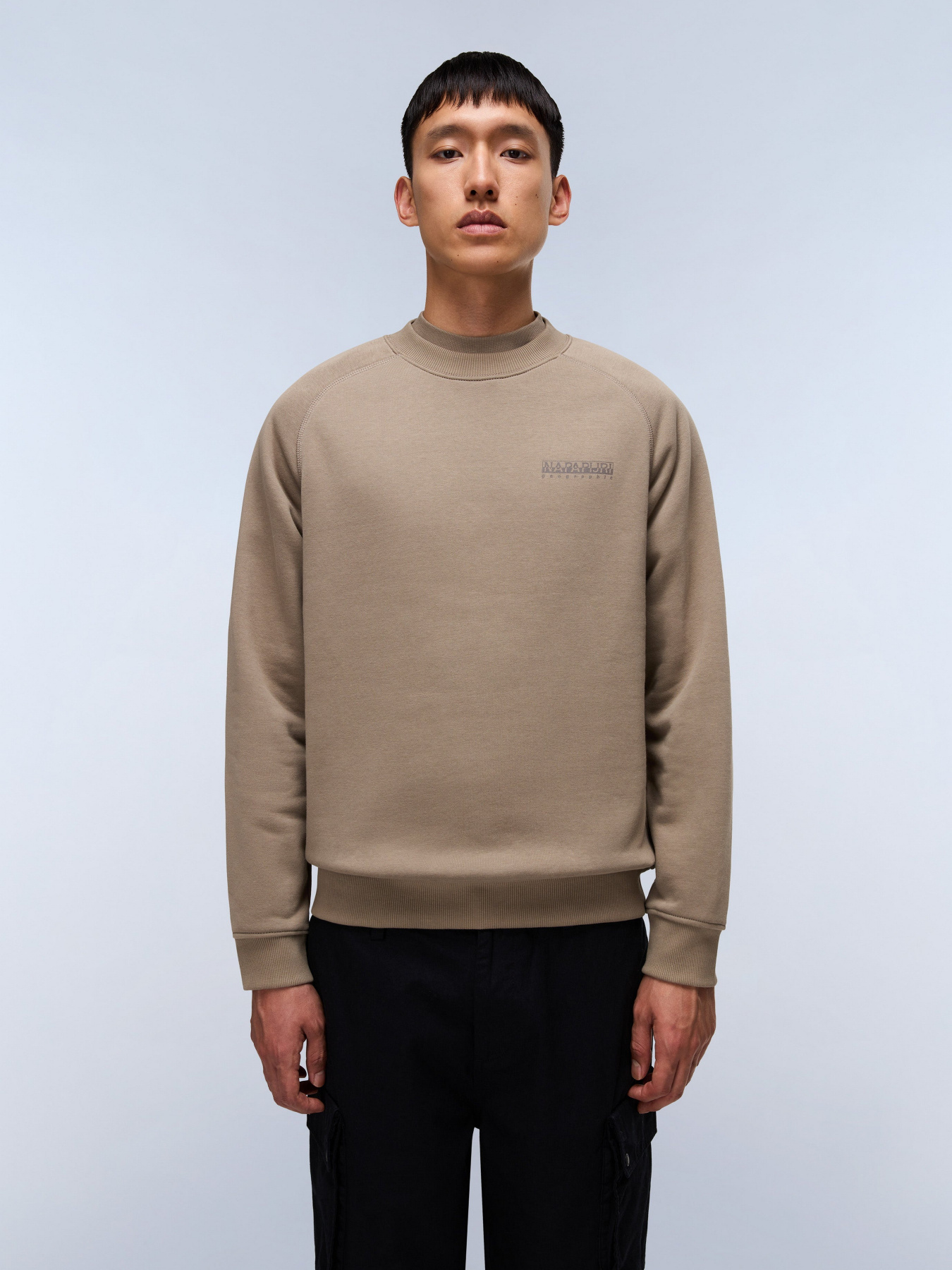 Свитшот Napapijri модель NP0A88STN1T1 Фото