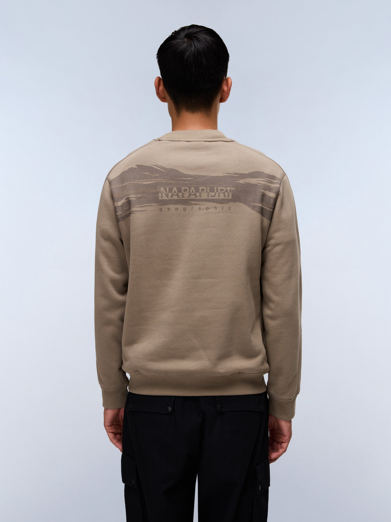 Свитшот Napapijri модель NP0A88STN1T1 Фото