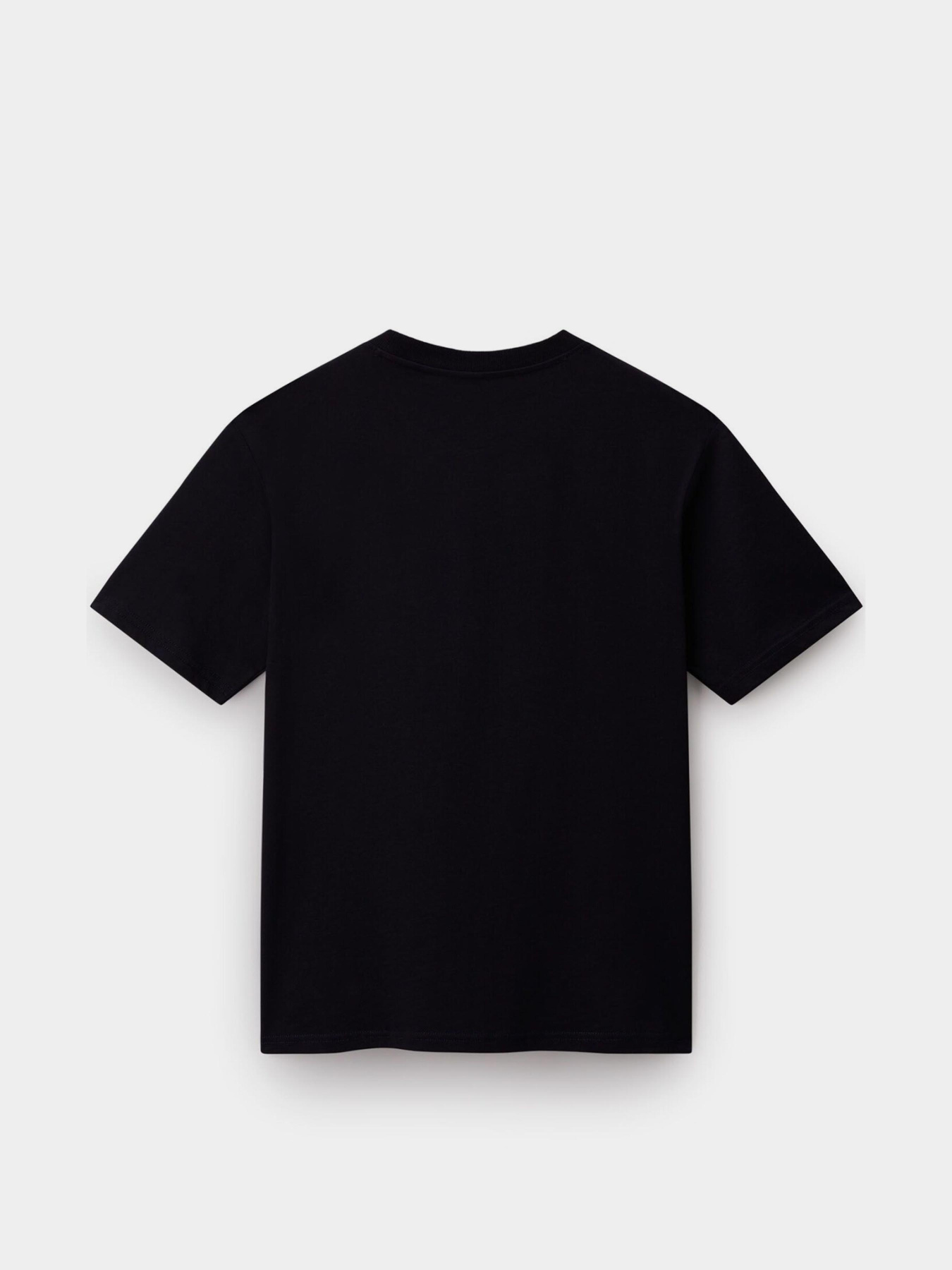 Футболка Napapijri Small Box модель NP0A88TR9411 Фото